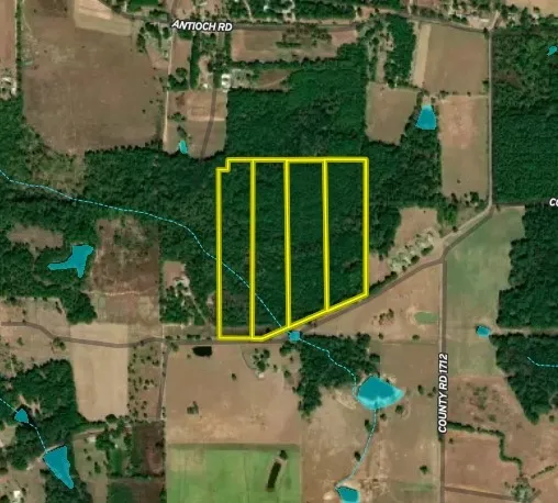 Unimproved Land For Sale in Cherokee County , Tract 3 County Road 1713, Jacksonville, Texas 75766, 0, 0, Garage spaces, 0 Sqft, built in 0, mls#20682827, Real Estate Agent in Jacksonville, Homes For Sale in Cherokee county, Homes For Sale in Jacksonville, Realtor in Jacksonville Texas, Real Estate Brokerage Independent Realty Texas, Luminita Cordes Realtor