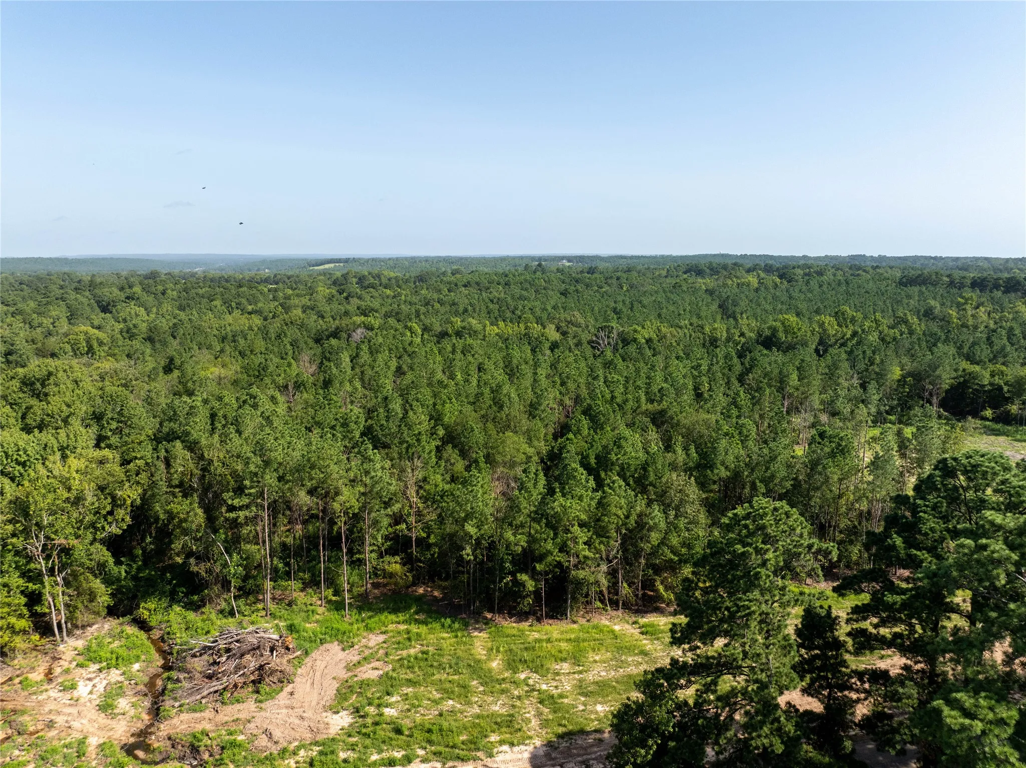 Unimproved Land For Sale in Cherokee County , Tract 3 County Road 1713, Jacksonville, Texas 75766, 0, 0, Garage spaces, 0 Sqft, built in 0, mls#20682827, Real Estate Agent in Jacksonville, Homes For Sale in Cherokee county, Homes For Sale in Jacksonville, Realtor in Jacksonville Texas, Real Estate Brokerage Independent Realty Texas, Luminita Cordes Realtor