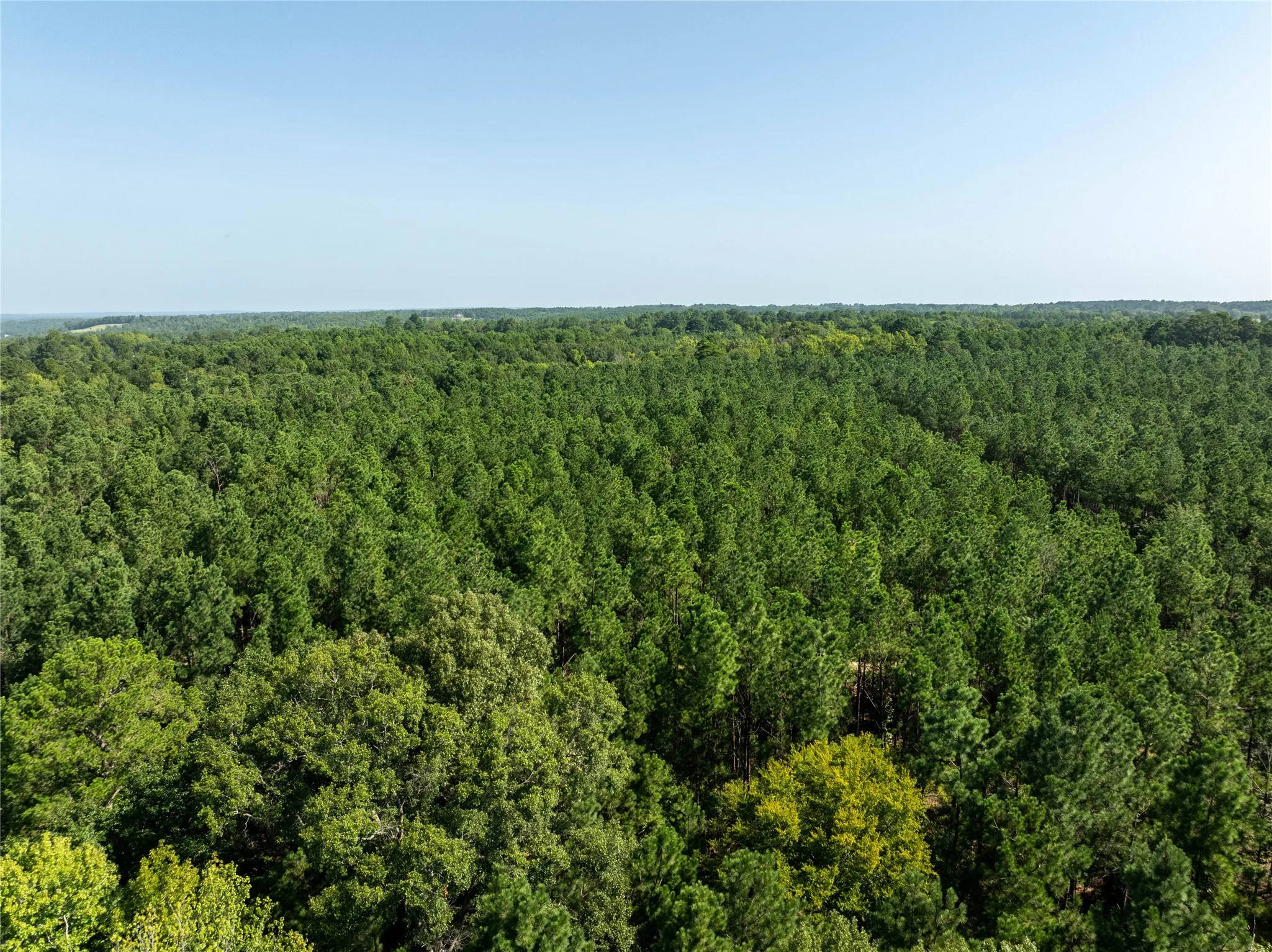 Unimproved Land For Sale in Cherokee County , Tract 3 County Road 1713, Jacksonville, Texas 75766, 0, 0, Garage spaces, 0 Sqft, built in 0, mls#20682827, Real Estate Agent in Jacksonville, Homes For Sale in Cherokee county, Homes For Sale in Jacksonville, Realtor in Jacksonville Texas, Real Estate Brokerage Independent Realty Texas, Luminita Cordes Realtor