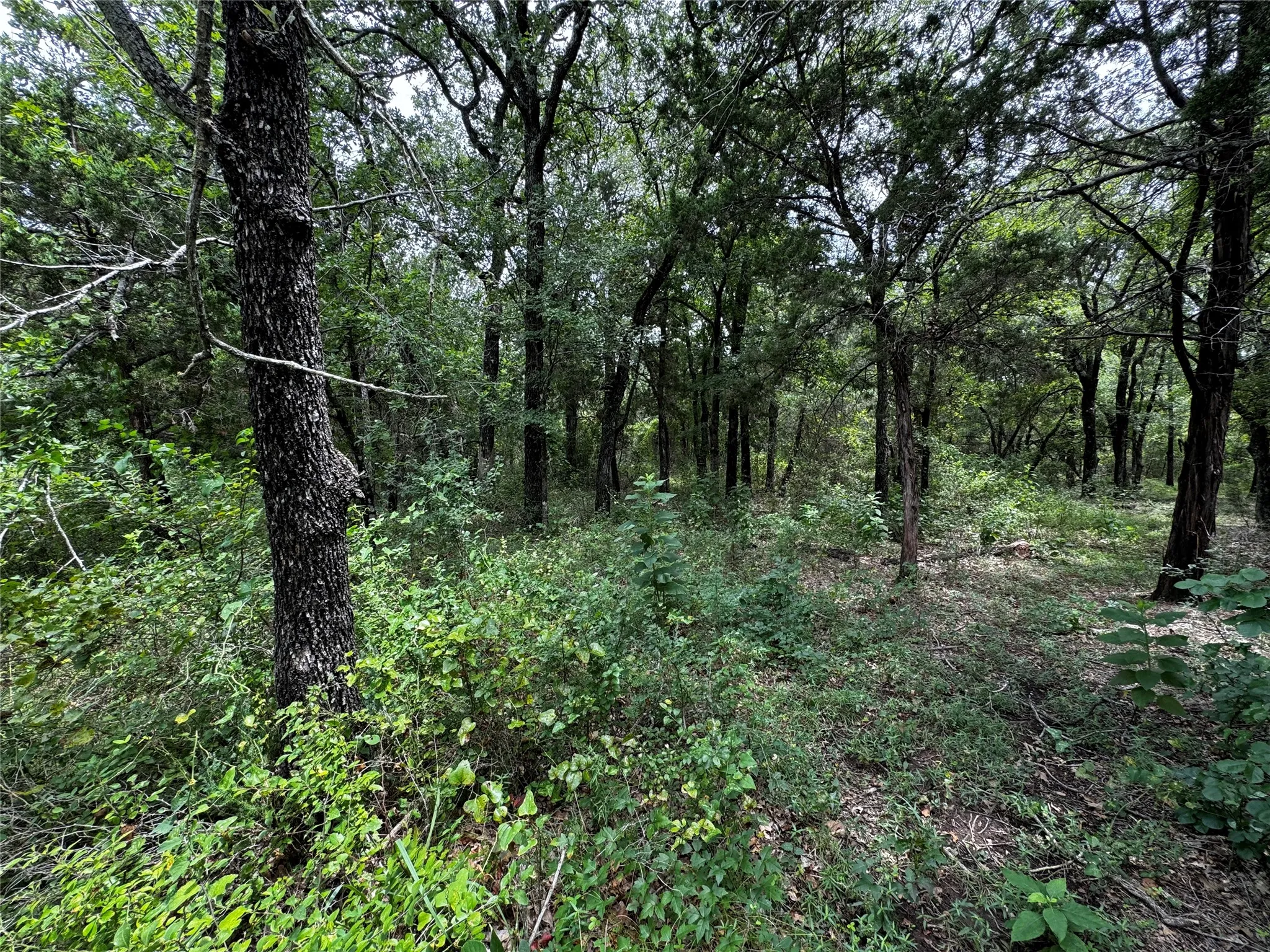 Unimproved Land For Sale in Hill County , 4044 High Point Drive, Whitney, Texas 76692, 0, 0, Garage spaces, 0 Sqft, built in 0, Price $12,000, mls#20684016, Real Estate Agent in Whitney, Homes For Sale in Hill county, Homes For Sale in Whitney, Realtor in Whitney Texas, Real Estate Brokerage Independent Realty Texas, Luminita Cordes Realtor