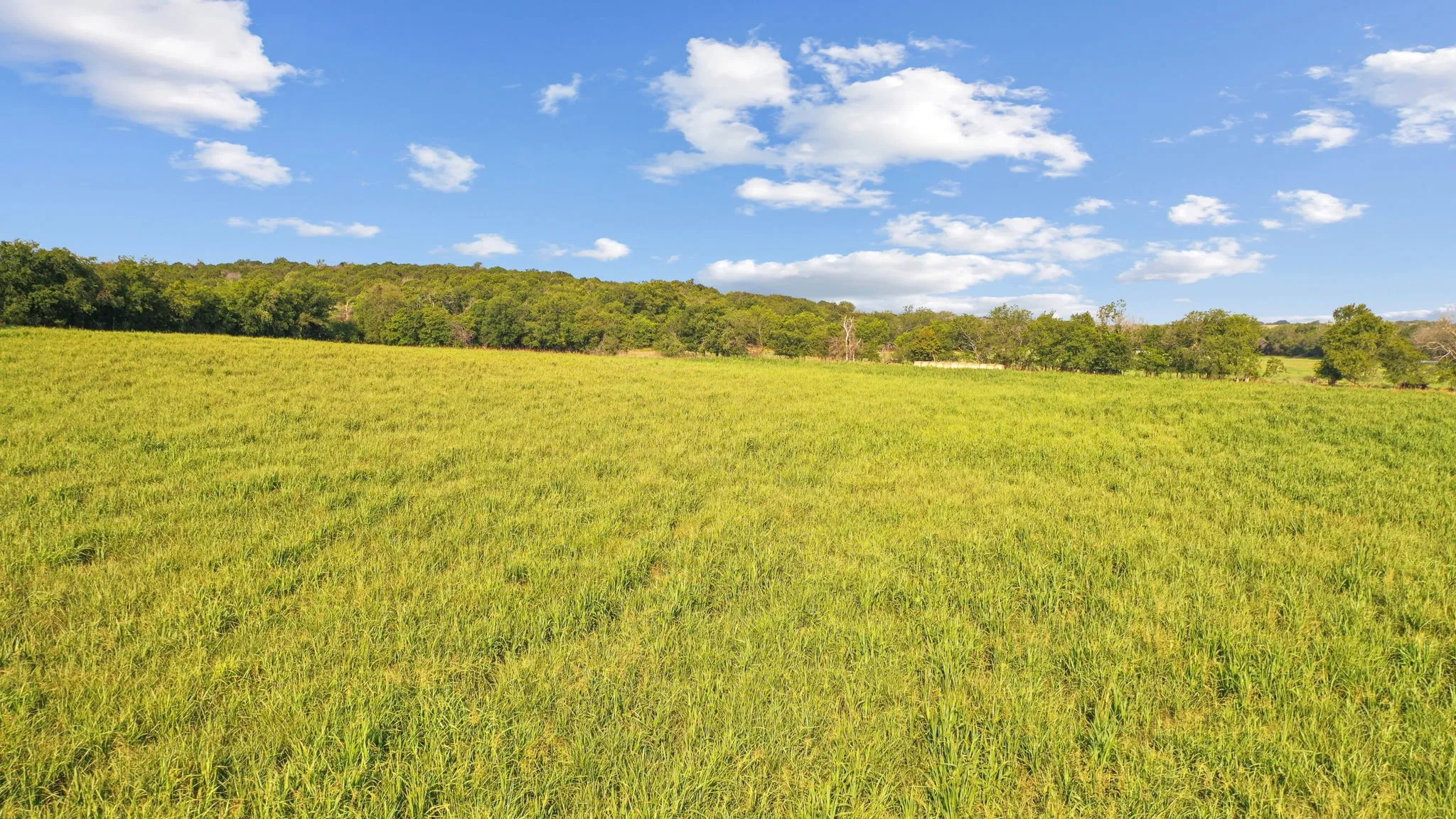 View of local wilderness