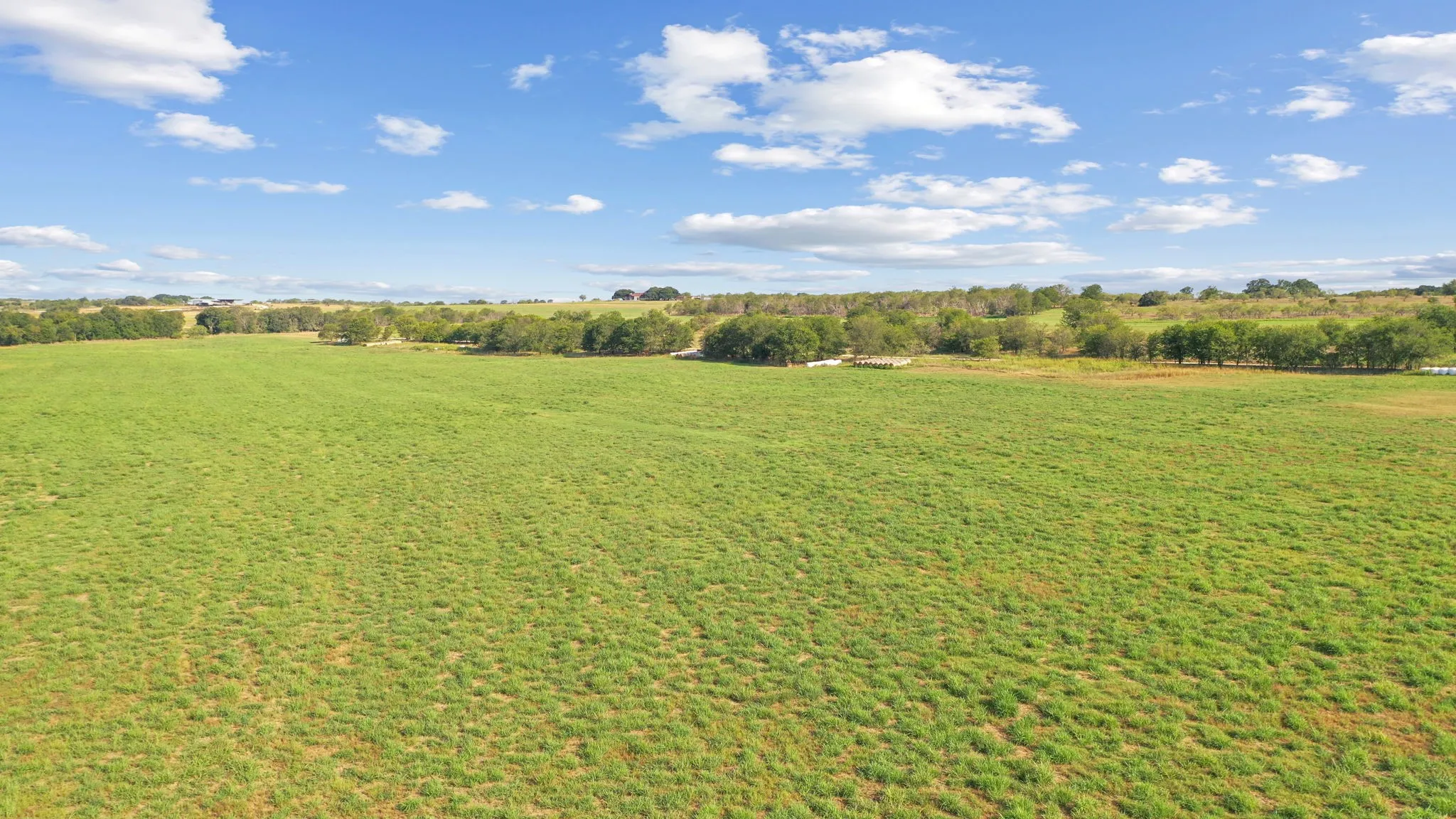 View of local wilderness with a rural view