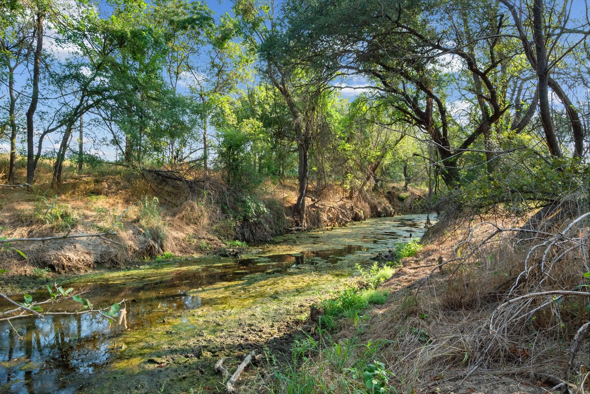 View of local wilderness featuring a water view