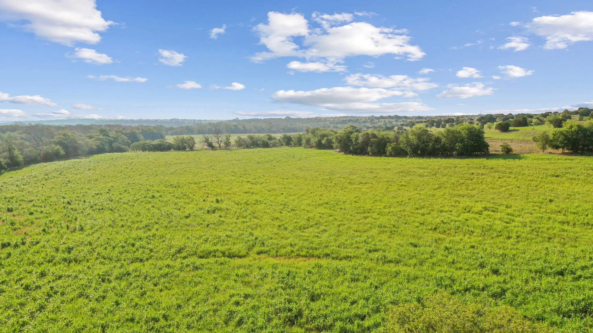 View of local wilderness with a rural view