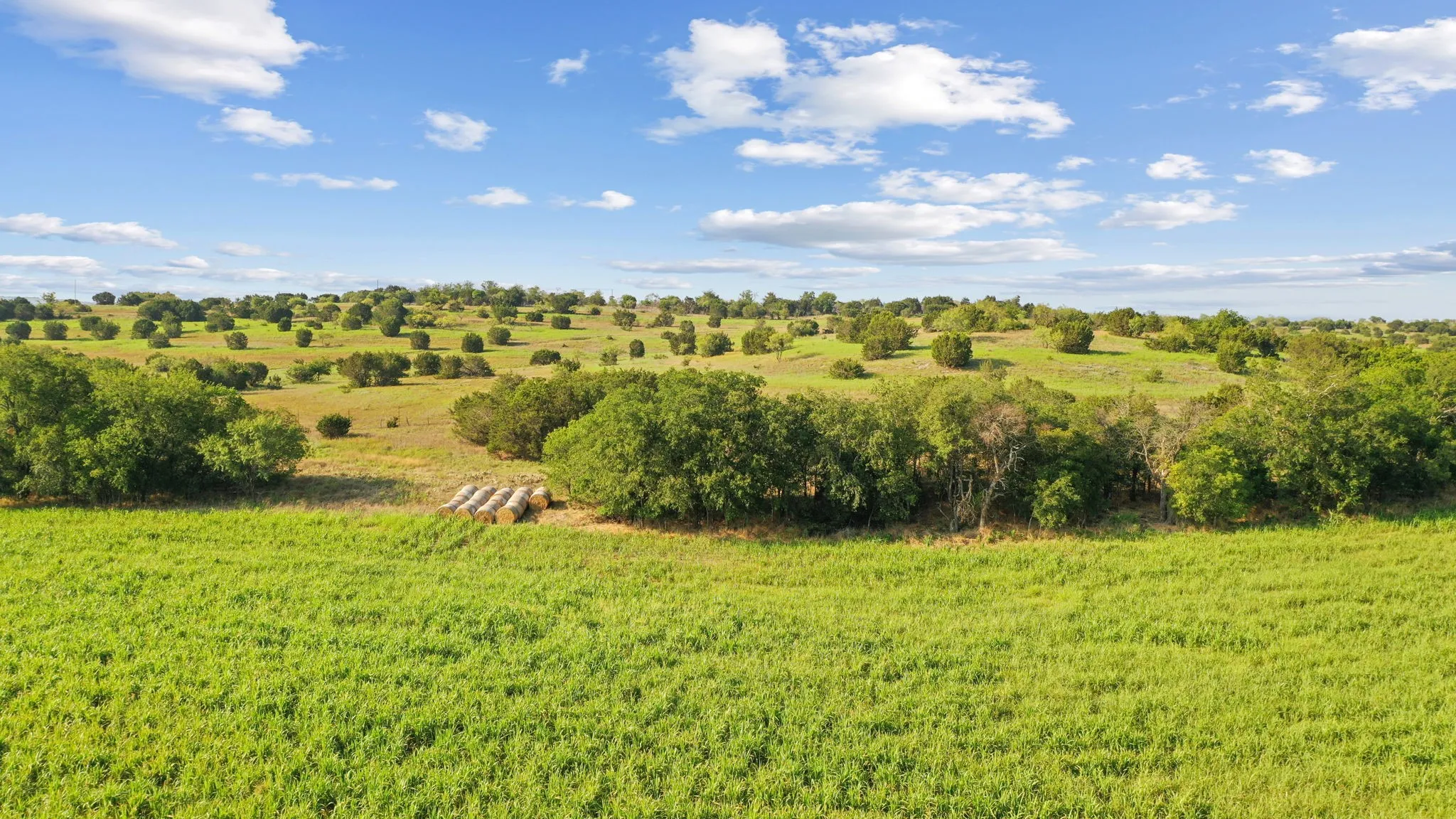 View of local wilderness featuring a rural view