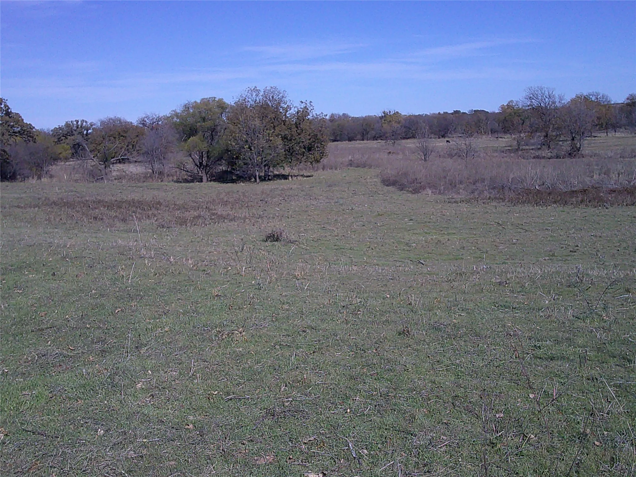 Unimproved Land For Sale in Montague County , Tr 1 West RC, Bowie, Texas 76230, 0, 0, Garage spaces, 0 Sqft, built in 0, mls#20686997, Real Estate Agent in Bowie, Homes For Sale in Montague county, Homes For Sale in Bowie, Realtor in Bowie Texas, Real Estate Brokerage Independent Realty Texas, Luminita Cordes Realtor
