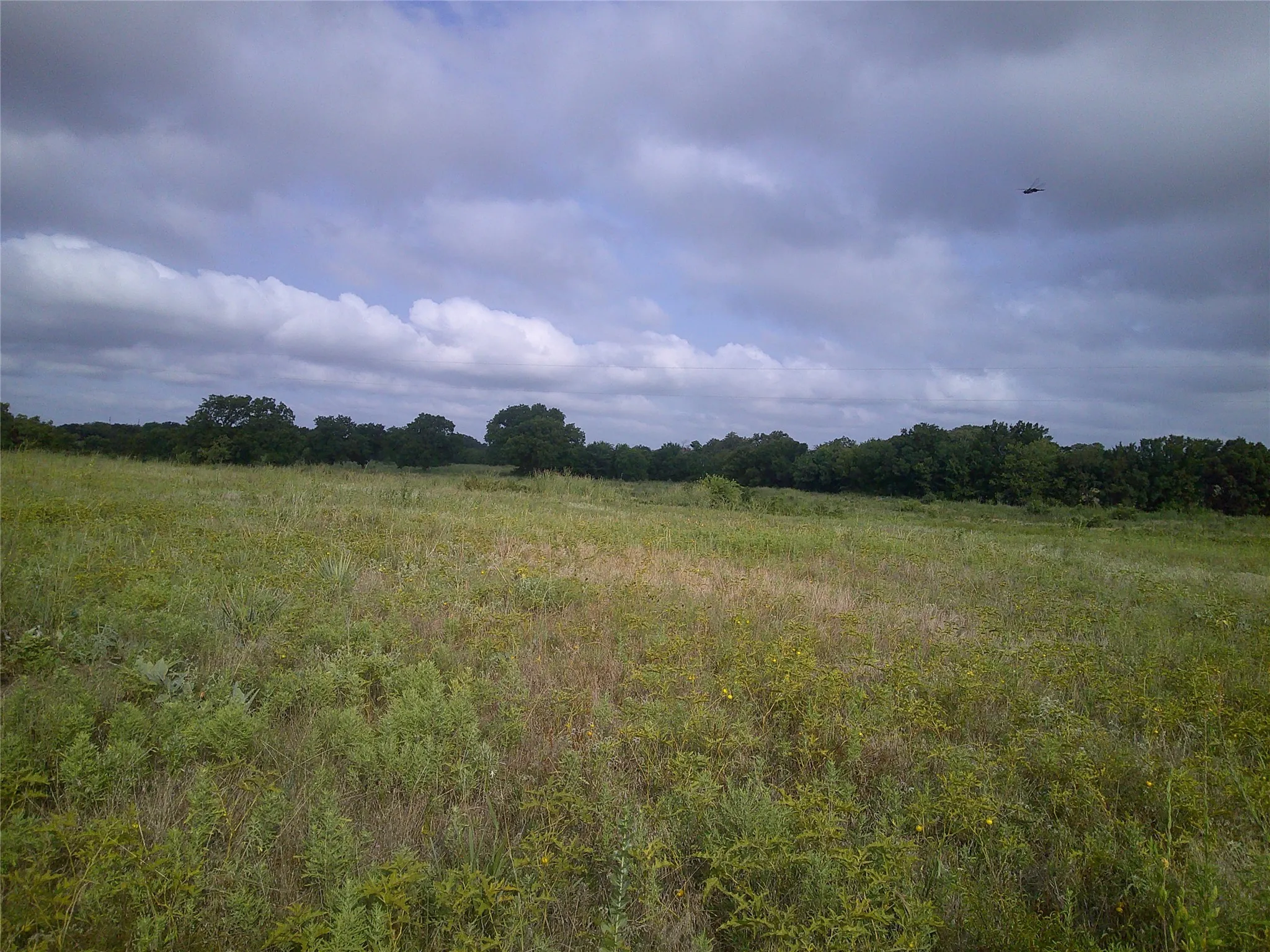 Unimproved Land For Sale in Montague County , Tr 1 West RC, Bowie, Texas 76230, 0, 0, Garage spaces, 0 Sqft, built in 0, mls#20686997, Real Estate Agent in Bowie, Homes For Sale in Montague county, Homes For Sale in Bowie, Realtor in Bowie Texas, Real Estate Brokerage Independent Realty Texas, Luminita Cordes Realtor