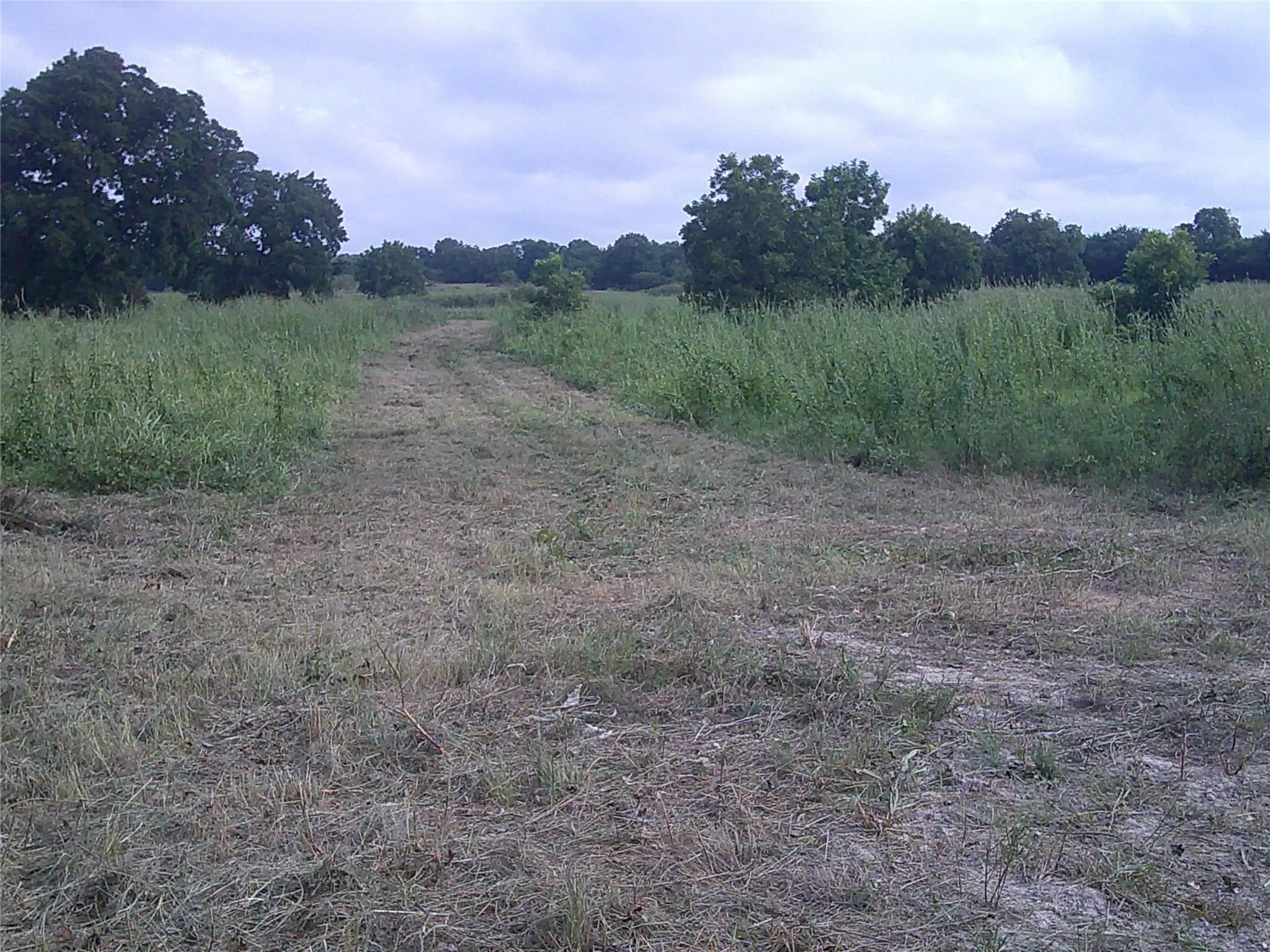 Unimproved Land For Sale in Montague County , Tr 1 West RC, Bowie, Texas 76230, 0, 0, Garage spaces, 0 Sqft, built in 0, mls#20686997, Real Estate Agent in Bowie, Homes For Sale in Montague county, Homes For Sale in Bowie, Realtor in Bowie Texas, Real Estate Brokerage Independent Realty Texas, Luminita Cordes Realtor