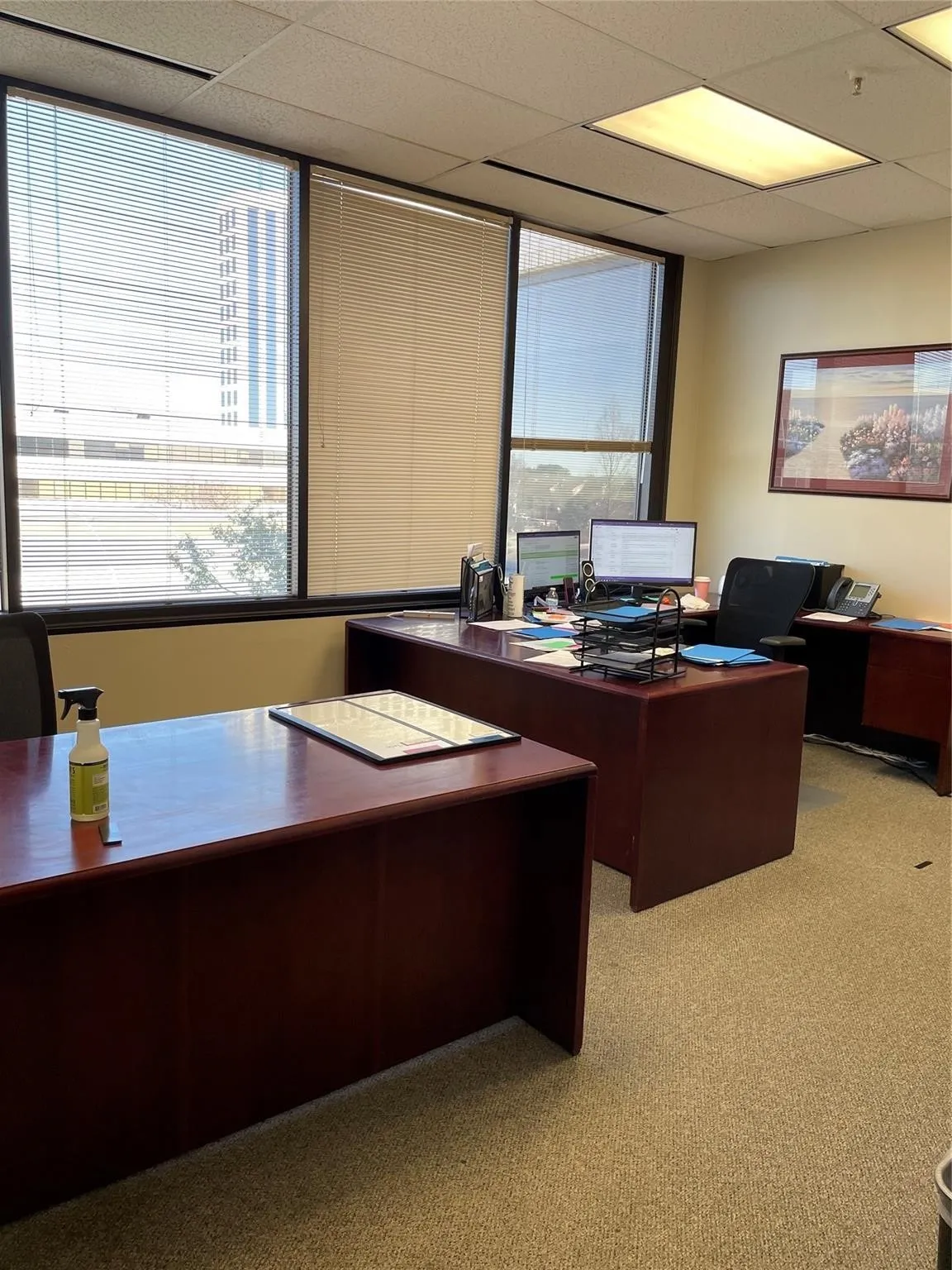 Office For Rent in Dallas County , 17218 Preston Road, Dallas, Texas 75252, 0, 0, Garage spaces, 0 Sqft, built in 1982, Preowned, Price $18, mls#20689434, Real Estate Agent in Dallas, Homes For Rent in Dallas county, Homes For Rent in Dallas, Realtor in Dallas Texas, Real Estate Brokerage Independent Realty Texas, Luminita Cordes Realtor