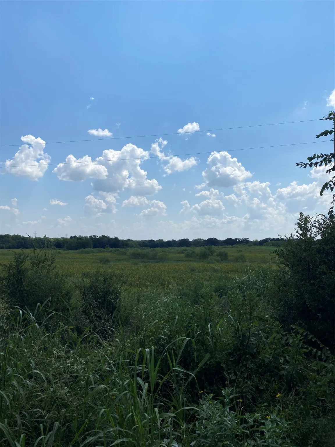 Unimproved Land For Sale in Johnson County , TBD County Road 703A, Alvarado, Texas 76009, 0, 0, Garage spaces, 0 Sqft, built in 0, Price $440,000, mls#20691393, Real Estate Agent in Alvarado, Homes For Sale in Johnson county, Homes For Sale in Alvarado, Realtor in Alvarado Texas, Real Estate Brokerage Independent Realty Texas, Luminita Cordes Realtor