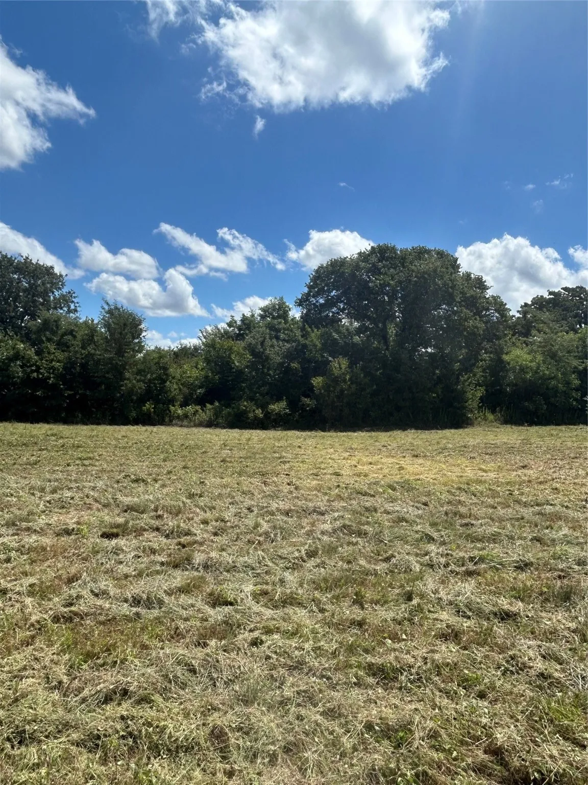Unimproved Land For Sale in Johnson County , TBD County Road 703A, Alvarado, Texas 76009, 0, 0, Garage spaces, 0 Sqft, built in 0, Price $440,000, mls#20691393, Real Estate Agent in Alvarado, Homes For Sale in Johnson county, Homes For Sale in Alvarado, Realtor in Alvarado Texas, Real Estate Brokerage Independent Realty Texas, Luminita Cordes Realtor
