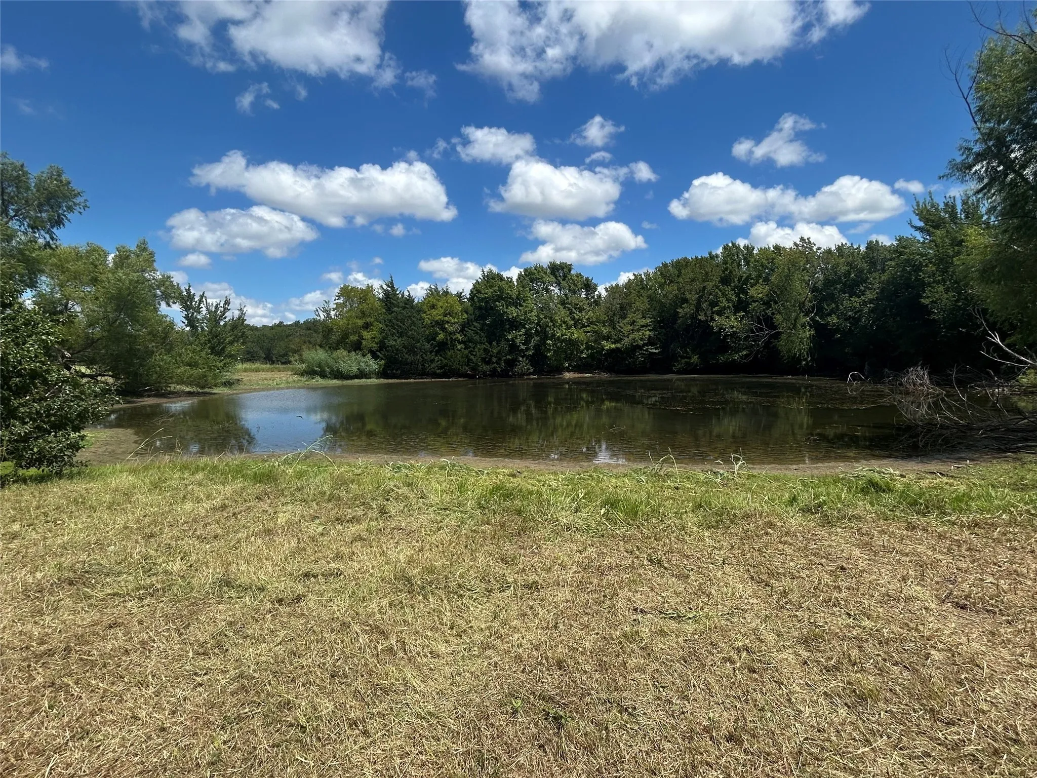 Unimproved Land For Sale in Johnson County , TBD County Road 703A, Alvarado, Texas 76009, 0, 0, Garage spaces, 0 Sqft, built in 0, Price $440,000, mls#20691393, Real Estate Agent in Alvarado, Homes For Sale in Johnson county, Homes For Sale in Alvarado, Realtor in Alvarado Texas, Real Estate Brokerage Independent Realty Texas, Luminita Cordes Realtor