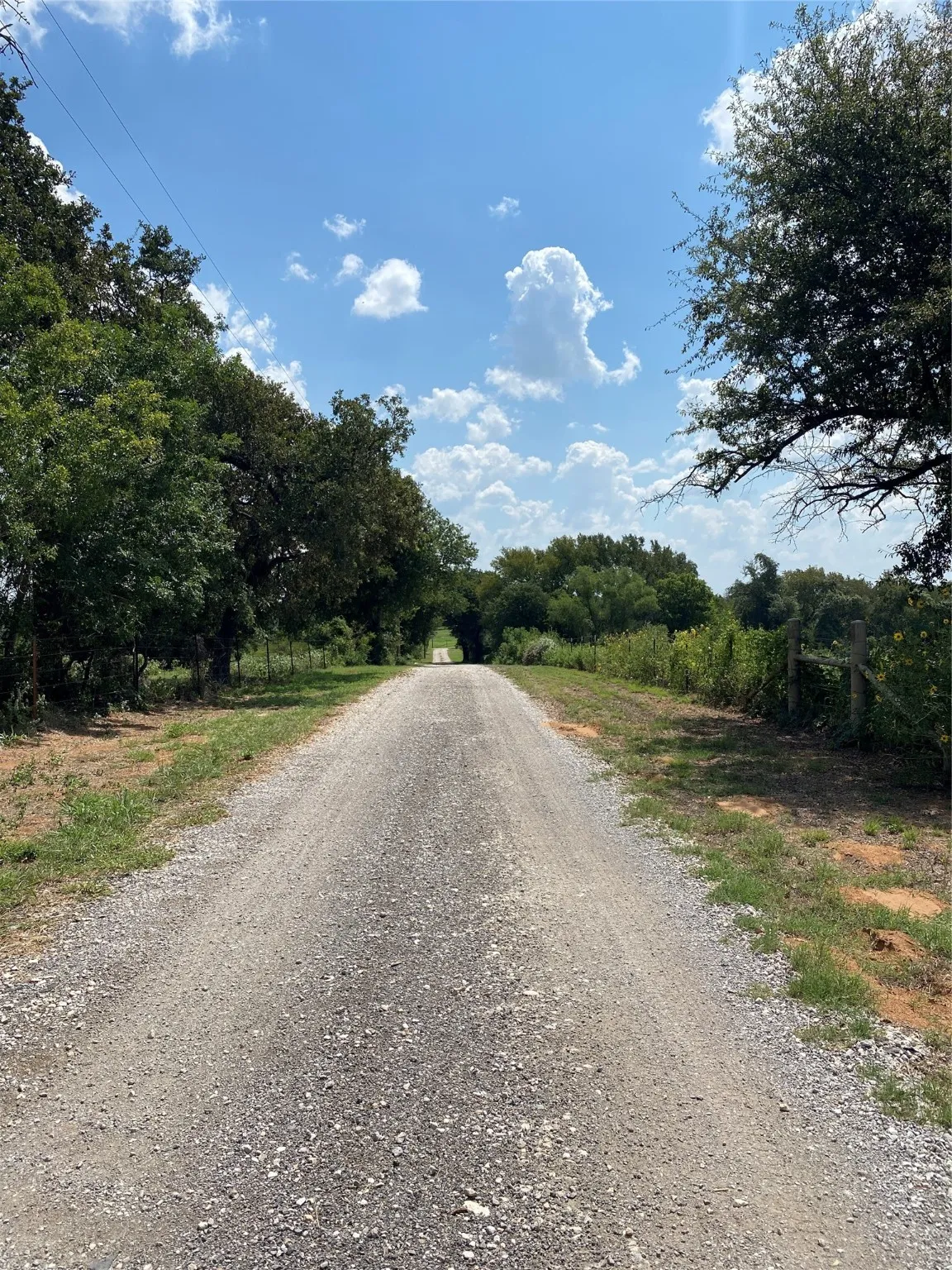 Unimproved Land For Sale in Johnson County , TBD County Road 703A, Alvarado, Texas 76009, 0, 0, Garage spaces, 0 Sqft, built in 0, Price $440,000, mls#20691393, Real Estate Agent in Alvarado, Homes For Sale in Johnson county, Homes For Sale in Alvarado, Realtor in Alvarado Texas, Real Estate Brokerage Independent Realty Texas, Luminita Cordes Realtor
