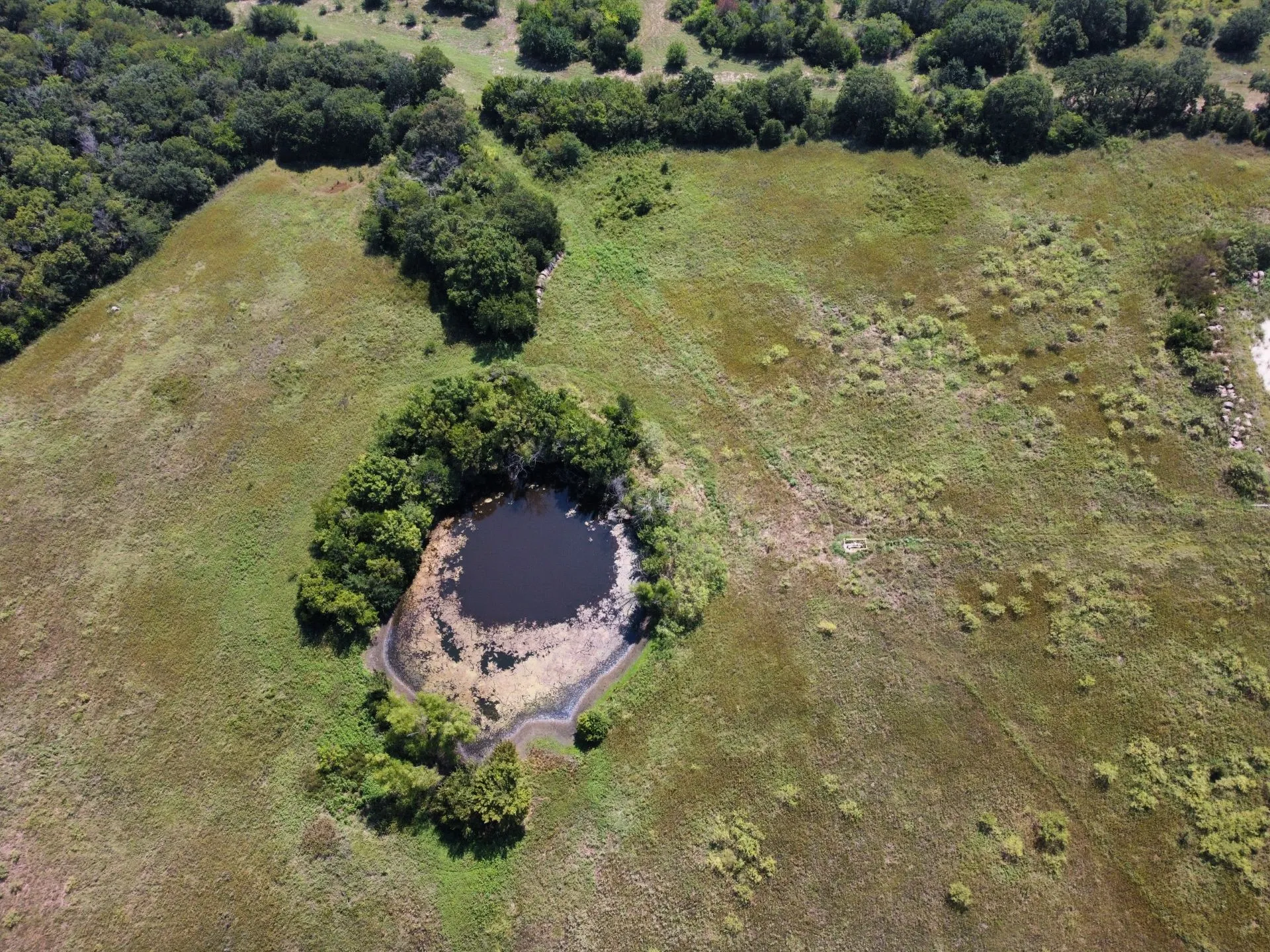 Unimproved Land For Sale in Johnson County , TBD County Road 703A, Alvarado, Texas 76009, 0, 0, Garage spaces, 0 Sqft, built in 0, Price $440,000, mls#20691393, Real Estate Agent in Alvarado, Homes For Sale in Johnson county, Homes For Sale in Alvarado, Realtor in Alvarado Texas, Real Estate Brokerage Independent Realty Texas, Luminita Cordes Realtor