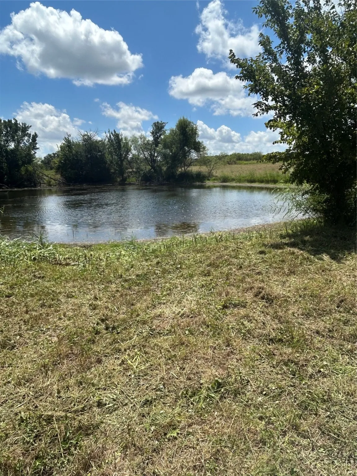 Unimproved Land For Sale in Johnson County , TBD County Road 703A, Alvarado, Texas 76009, 0, 0, Garage spaces, 0 Sqft, built in 0, Price $440,000, mls#20691393, Real Estate Agent in Alvarado, Homes For Sale in Johnson county, Homes For Sale in Alvarado, Realtor in Alvarado Texas, Real Estate Brokerage Independent Realty Texas, Luminita Cordes Realtor