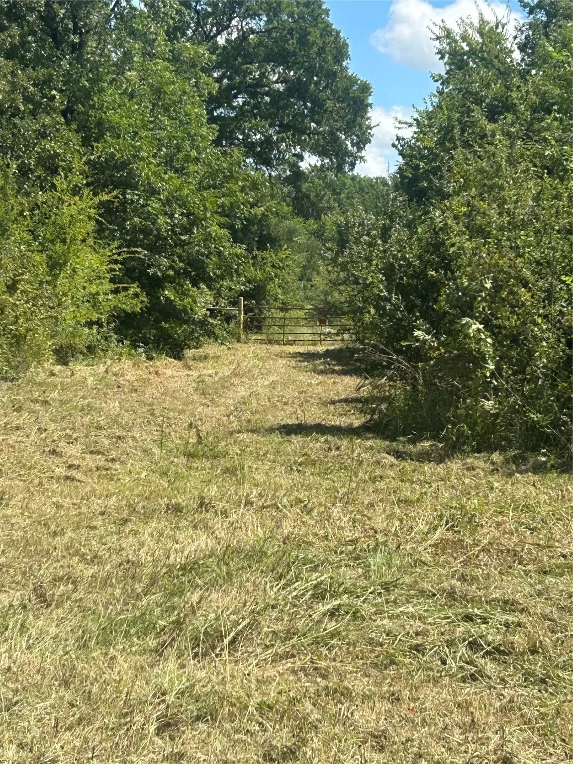 Unimproved Land For Sale in Johnson County , TBD County Road 703A, Alvarado, Texas 76009, 0, 0, Garage spaces, 0 Sqft, built in 0, Price $440,000, mls#20691393, Real Estate Agent in Alvarado, Homes For Sale in Johnson county, Homes For Sale in Alvarado, Realtor in Alvarado Texas, Real Estate Brokerage Independent Realty Texas, Luminita Cordes Realtor