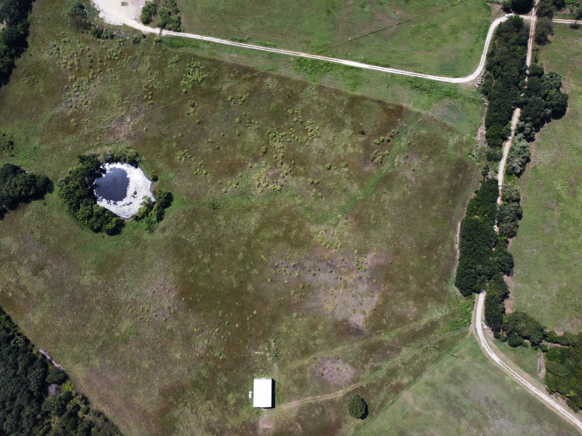 Unimproved Land For Sale in Johnson County , TBD County Road 703A, Alvarado, Texas 76009, 0, 0, Garage spaces, 0 Sqft, built in 0, Price $440,000, mls#20691393, Real Estate Agent in Alvarado, Homes For Sale in Johnson county, Homes For Sale in Alvarado, Realtor in Alvarado Texas, Real Estate Brokerage Independent Realty Texas, Luminita Cordes Realtor