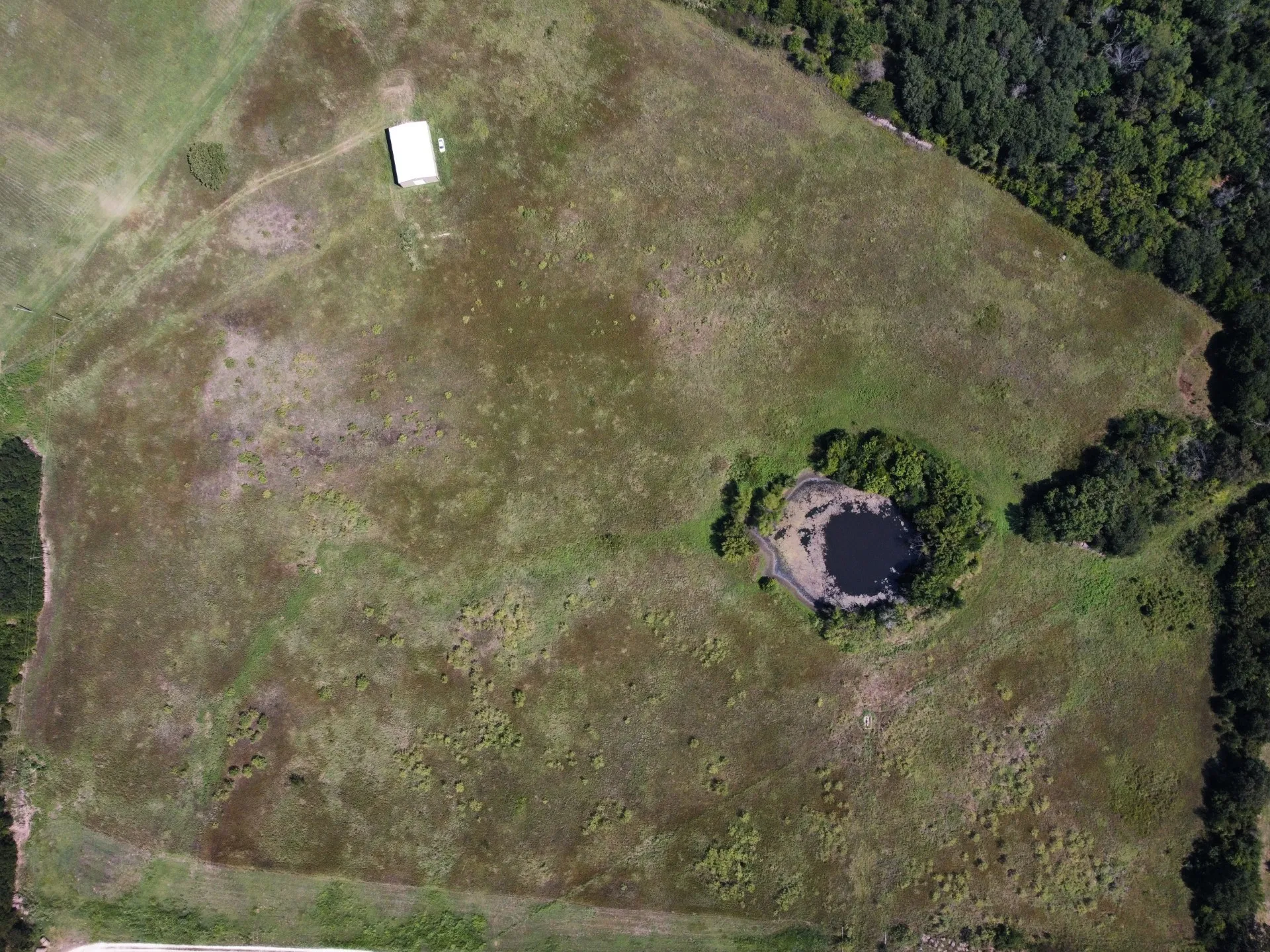 Unimproved Land For Sale in Johnson County , TBD County Road 703A, Alvarado, Texas 76009, 0, 0, Garage spaces, 0 Sqft, built in 0, Price $440,000, mls#20691393, Real Estate Agent in Alvarado, Homes For Sale in Johnson county, Homes For Sale in Alvarado, Realtor in Alvarado Texas, Real Estate Brokerage Independent Realty Texas, Luminita Cordes Realtor