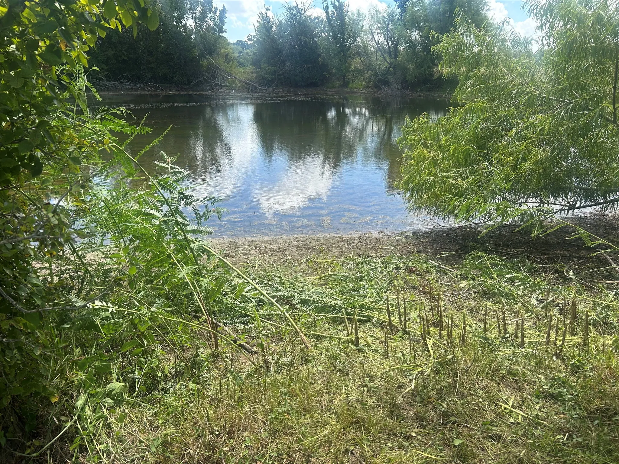 Unimproved Land For Sale in Johnson County , TBD County Road 703A, Alvarado, Texas 76009, 0, 0, Garage spaces, 0 Sqft, built in 0, Price $440,000, mls#20691393, Real Estate Agent in Alvarado, Homes For Sale in Johnson county, Homes For Sale in Alvarado, Realtor in Alvarado Texas, Real Estate Brokerage Independent Realty Texas, Luminita Cordes Realtor
