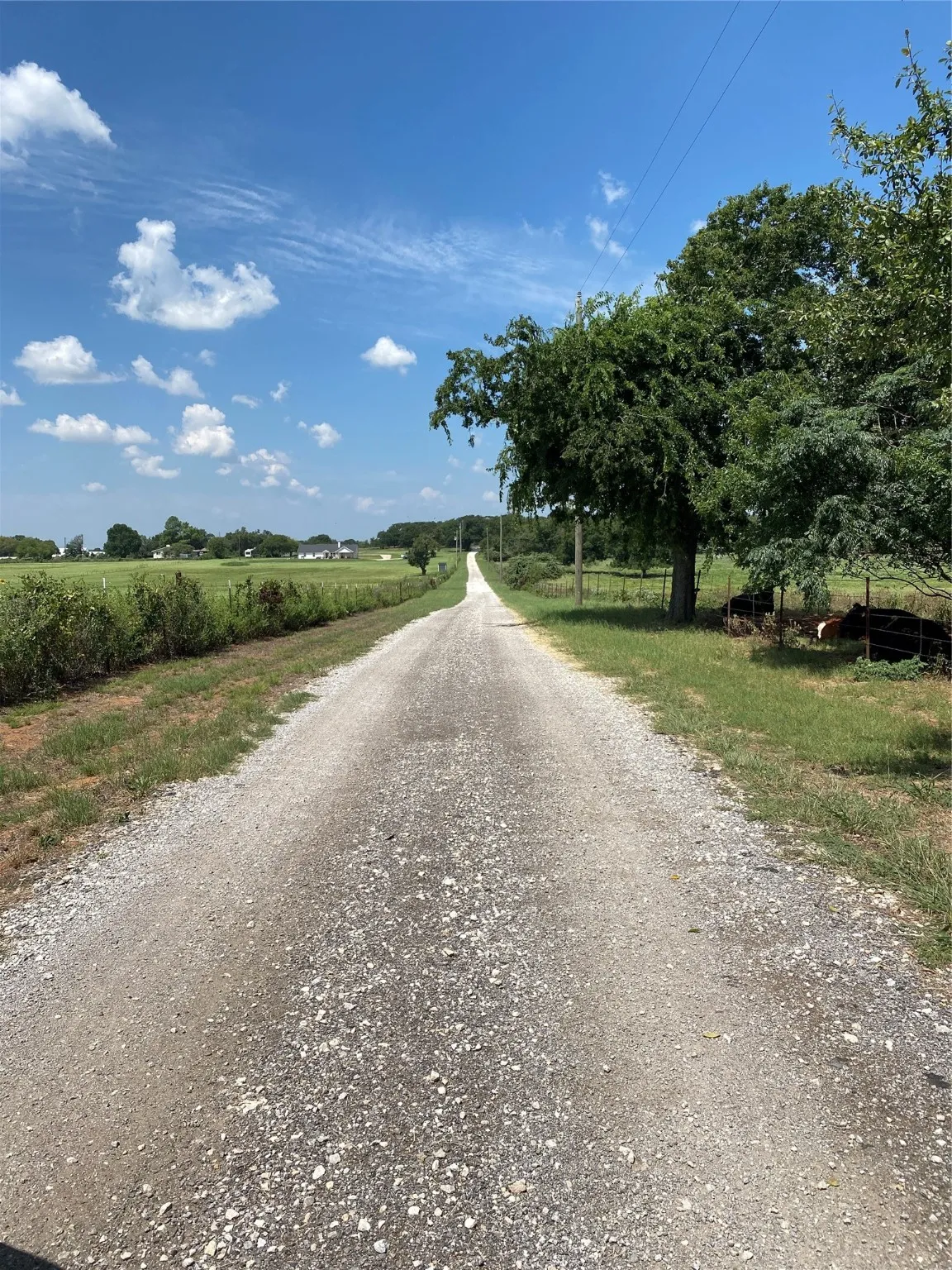 Unimproved Land For Sale in Johnson County , TBD County Road 703A, Alvarado, Texas 76009, 0, 0, Garage spaces, 0 Sqft, built in 0, Price $440,000, mls#20691393, Real Estate Agent in Alvarado, Homes For Sale in Johnson county, Homes For Sale in Alvarado, Realtor in Alvarado Texas, Real Estate Brokerage Independent Realty Texas, Luminita Cordes Realtor