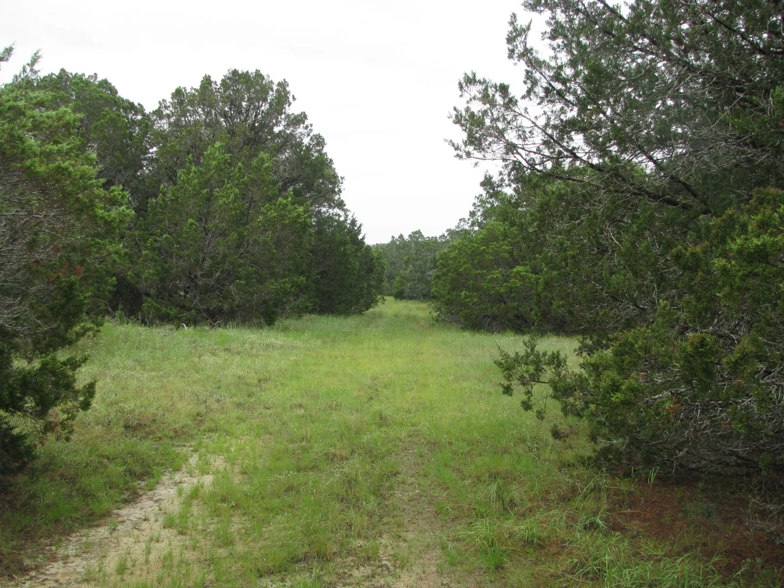 Ranch For Sale in Coryell County , TBD PR 1002, Purmela, Texas 76566, 0, 0, Garage spaces, 0 Sqft, built in 0, mls#20691532, Real Estate Agent in Purmela, Homes For Sale in Coryell county, Homes For Sale in Purmela, Realtor in Purmela Texas, Real Estate Brokerage Independent Realty Texas, Luminita Cordes Realtor