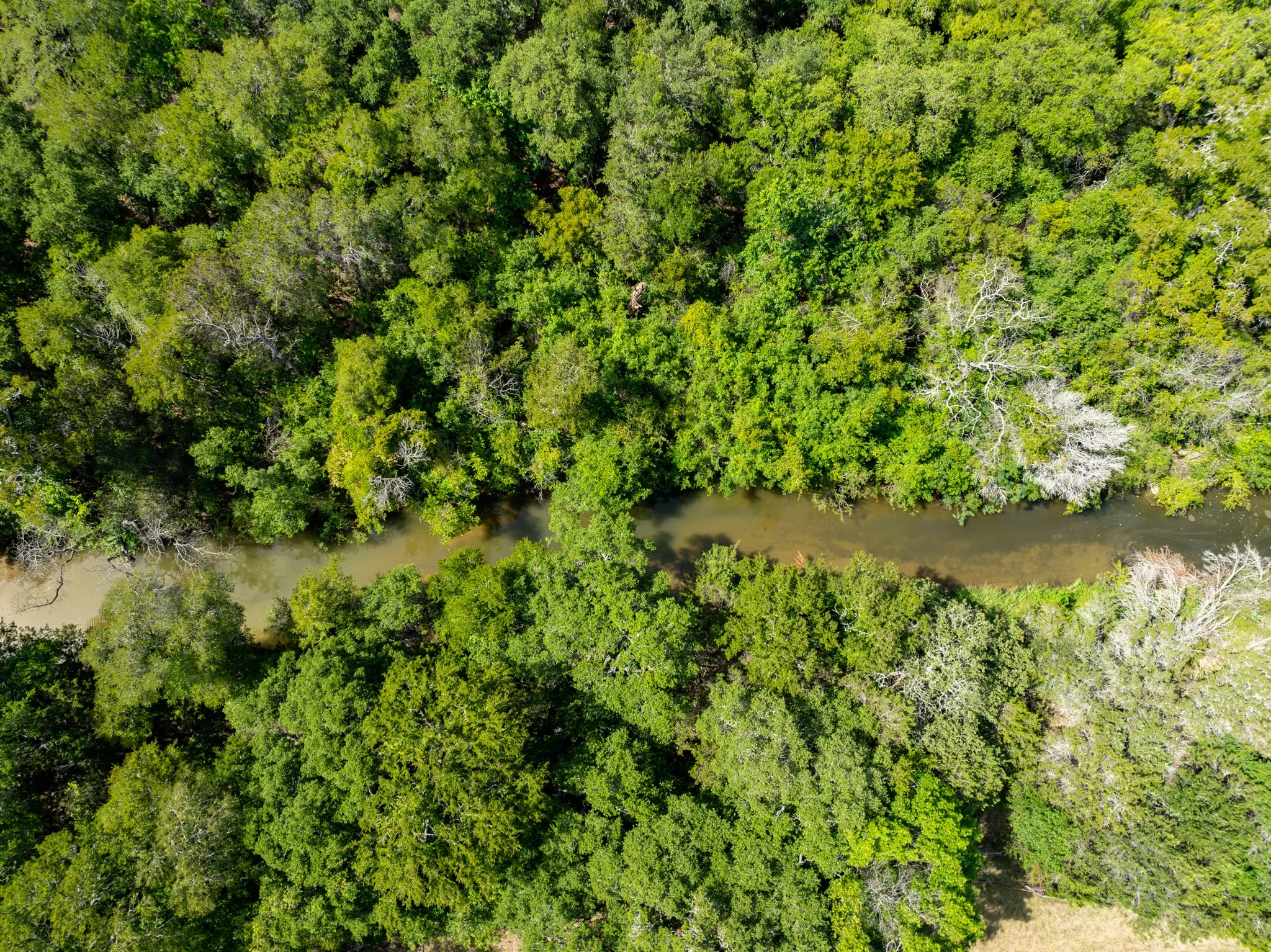 Ranch For Sale in Coryell County , TBD PR 1002, Purmela, Texas 76566, 0, 0, Garage spaces, 0 Sqft, built in 0, mls#20691532, Real Estate Agent in Purmela, Homes For Sale in Coryell county, Homes For Sale in Purmela, Realtor in Purmela Texas, Real Estate Brokerage Independent Realty Texas, Luminita Cordes Realtor