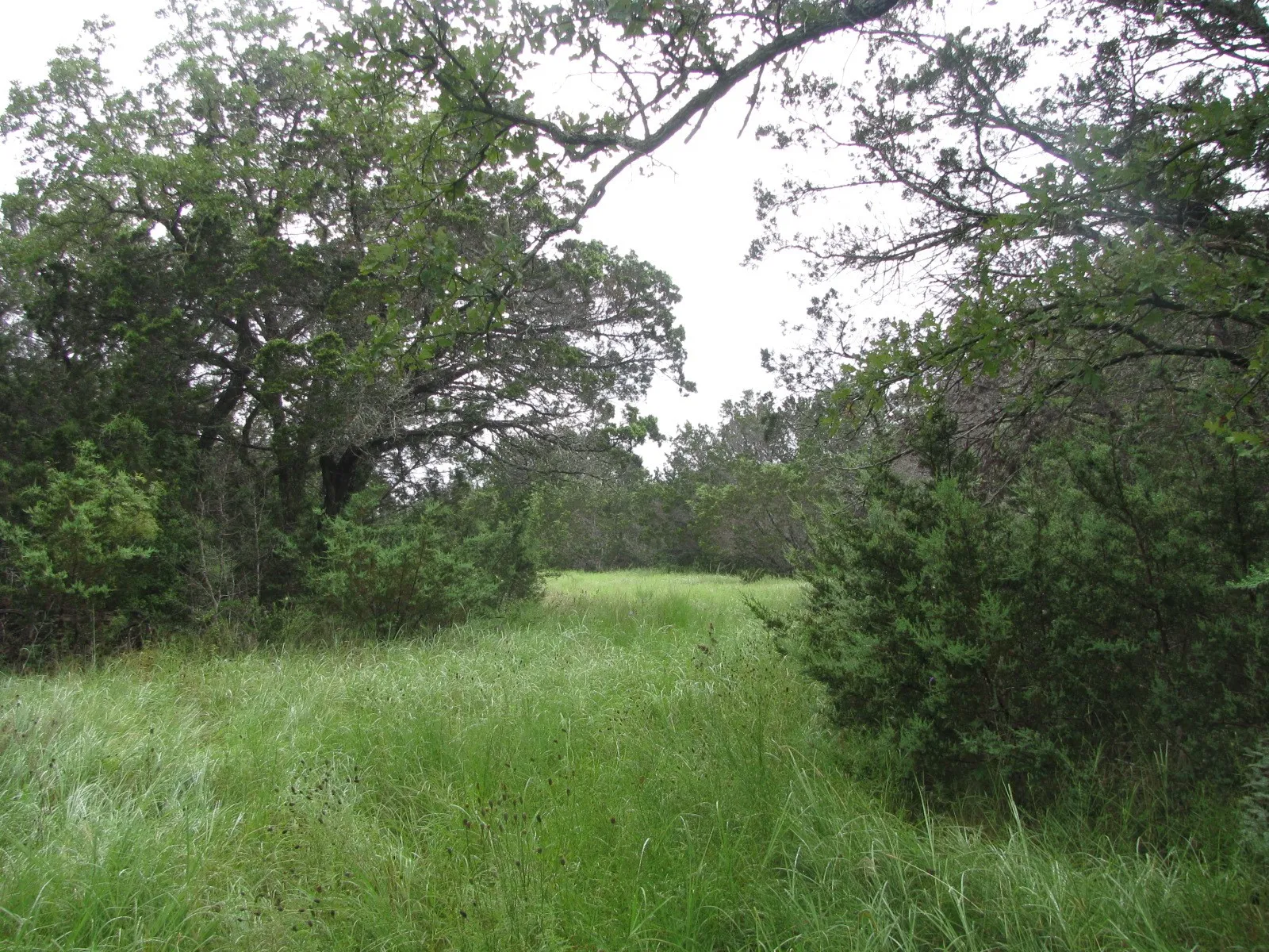 Ranch For Sale in Coryell County , TBD PR 1002, Purmela, Texas 76566, 0, 0, Garage spaces, 0 Sqft, built in 0, mls#20691532, Real Estate Agent in Purmela, Homes For Sale in Coryell county, Homes For Sale in Purmela, Realtor in Purmela Texas, Real Estate Brokerage Independent Realty Texas, Luminita Cordes Realtor