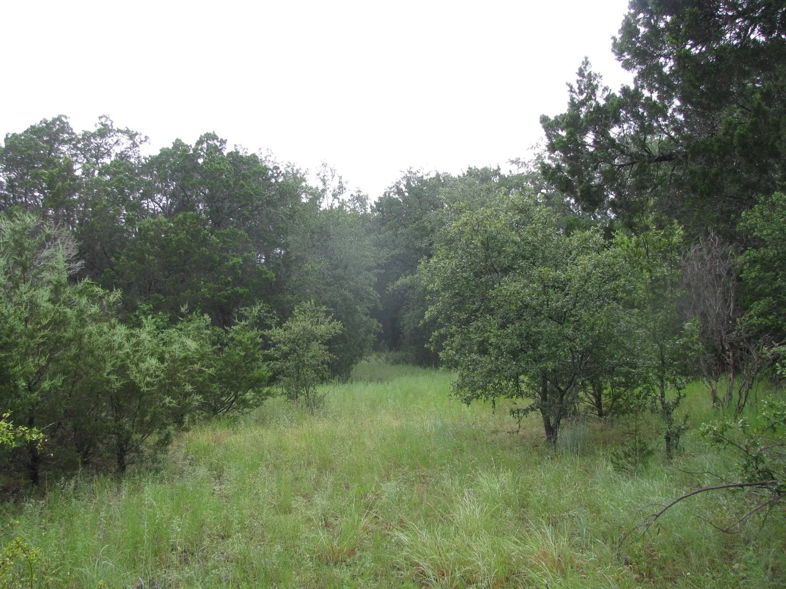 Ranch For Sale in Coryell County , TBD PR 1002, Purmela, Texas 76566, 0, 0, Garage spaces, 0 Sqft, built in 0, mls#20691532, Real Estate Agent in Purmela, Homes For Sale in Coryell county, Homes For Sale in Purmela, Realtor in Purmela Texas, Real Estate Brokerage Independent Realty Texas, Luminita Cordes Realtor