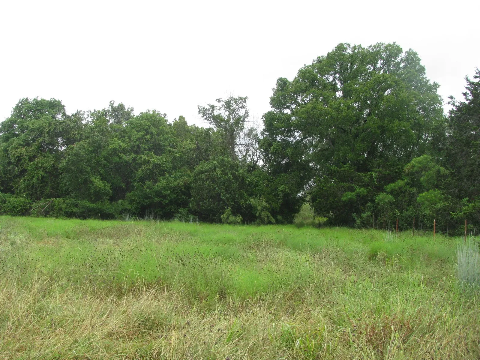 Ranch For Sale in Coryell County , TBD PR 1002, Purmela, Texas 76566, 0, 0, Garage spaces, 0 Sqft, built in 0, mls#20691532, Real Estate Agent in Purmela, Homes For Sale in Coryell county, Homes For Sale in Purmela, Realtor in Purmela Texas, Real Estate Brokerage Independent Realty Texas, Luminita Cordes Realtor