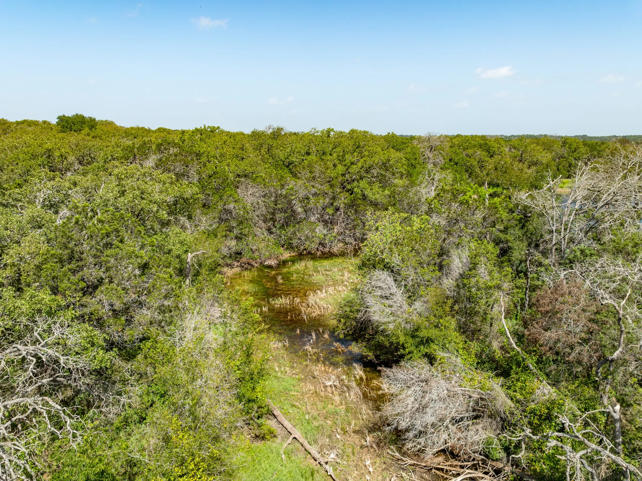 Ranch For Sale in Coryell County , TBD PR 1002, Purmela, Texas 76566, 0, 0, Garage spaces, 0 Sqft, built in 0, mls#20691532, Real Estate Agent in Purmela, Homes For Sale in Coryell county, Homes For Sale in Purmela, Realtor in Purmela Texas, Real Estate Brokerage Independent Realty Texas, Luminita Cordes Realtor
