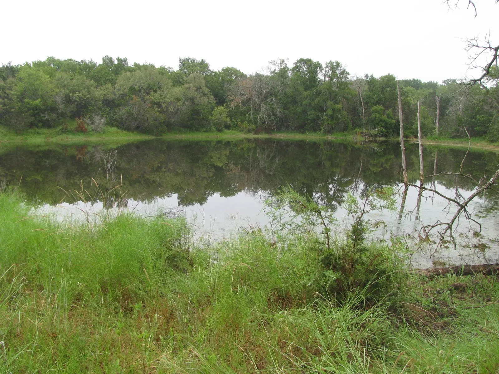 Ranch For Sale in Coryell County , TBD PR 1002, Purmela, Texas 76566, 0, 0, Garage spaces, 0 Sqft, built in 0, mls#20691532, Real Estate Agent in Purmela, Homes For Sale in Coryell county, Homes For Sale in Purmela, Realtor in Purmela Texas, Real Estate Brokerage Independent Realty Texas, Luminita Cordes Realtor