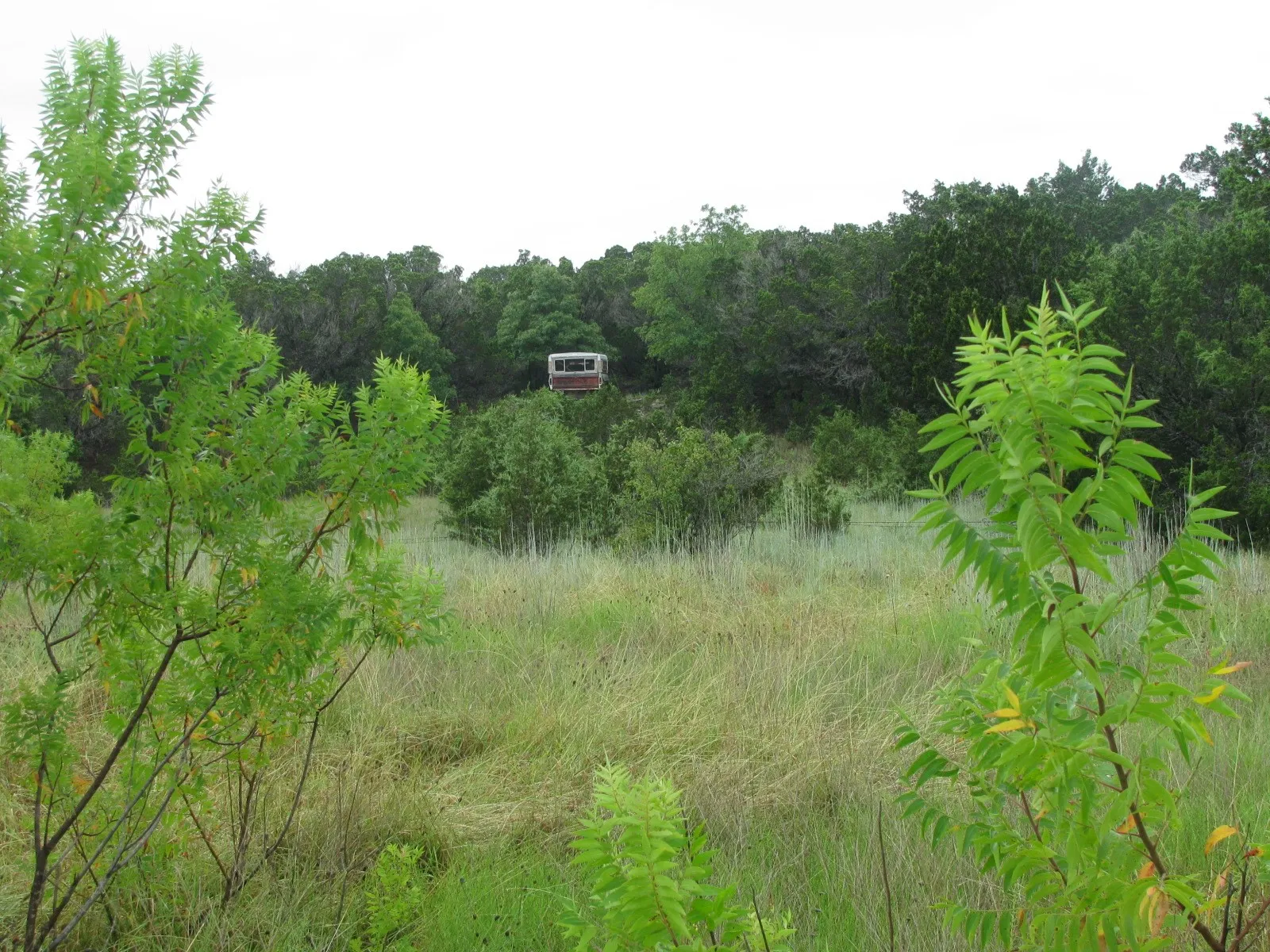 Ranch For Sale in Coryell County , TBD PR 1002, Purmela, Texas 76566, 0, 0, Garage spaces, 0 Sqft, built in 0, mls#20691532, Real Estate Agent in Purmela, Homes For Sale in Coryell county, Homes For Sale in Purmela, Realtor in Purmela Texas, Real Estate Brokerage Independent Realty Texas, Luminita Cordes Realtor