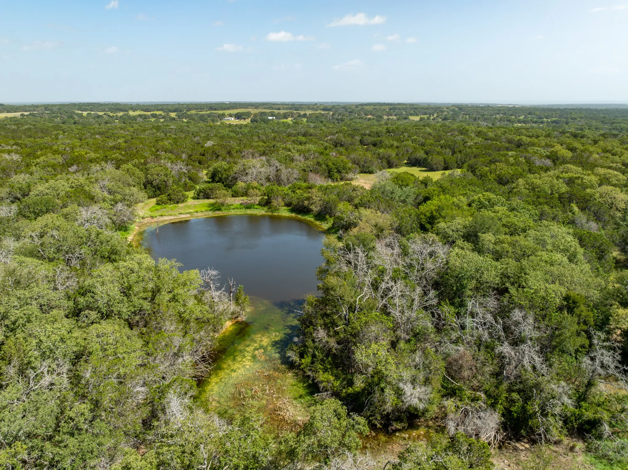 Ranch For Sale in Coryell County , TBD PR 1002, Purmela, Texas 76566, 0, 0, Garage spaces, 0 Sqft, built in 0, mls#20691532, Real Estate Agent in Purmela, Homes For Sale in Coryell county, Homes For Sale in Purmela, Realtor in Purmela Texas, Real Estate Brokerage Independent Realty Texas, Luminita Cordes Realtor