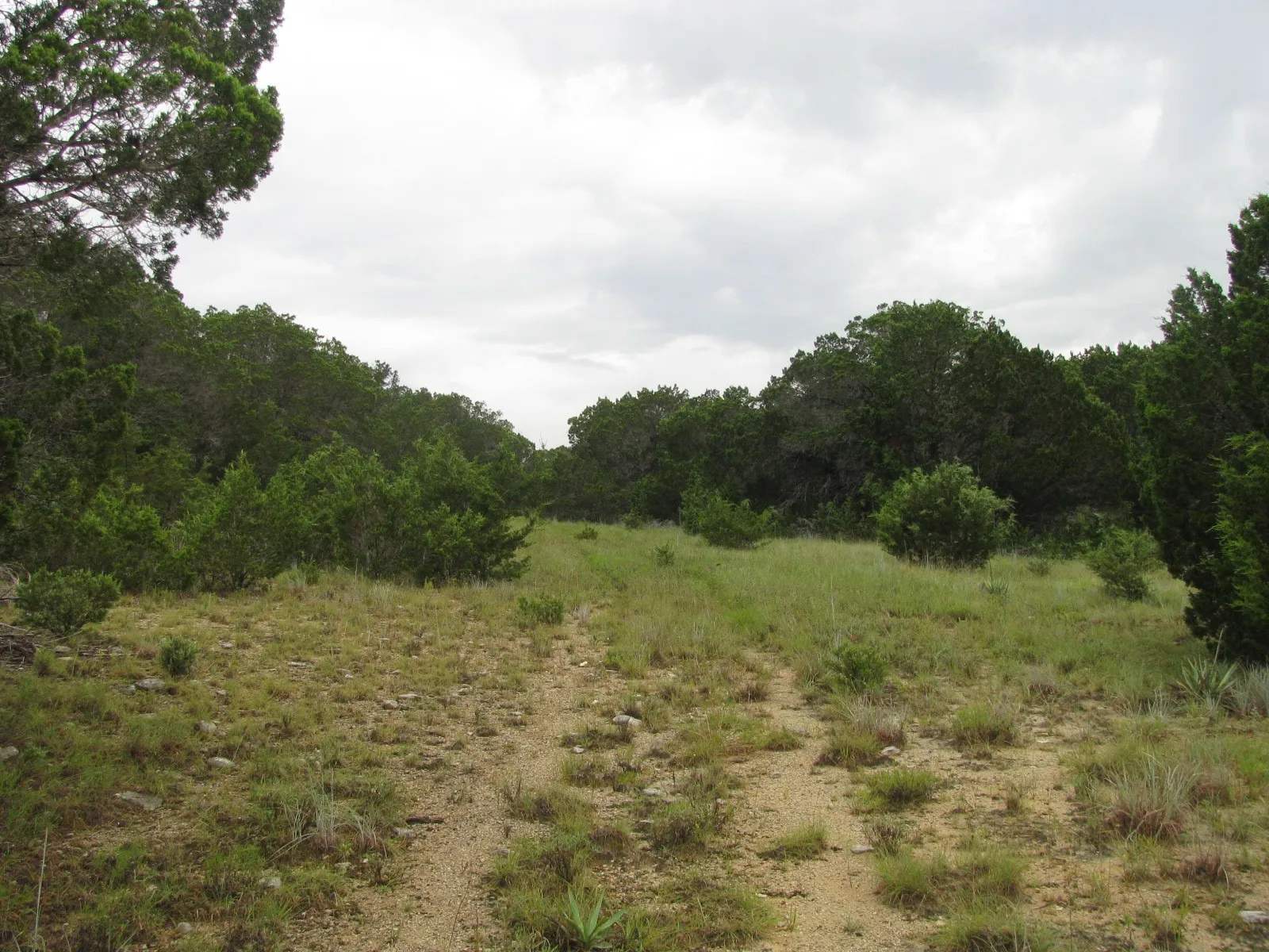 Ranch For Sale in Coryell County , TBD PR 1002, Purmela, Texas 76566, 0, 0, Garage spaces, 0 Sqft, built in 0, mls#20691532, Real Estate Agent in Purmela, Homes For Sale in Coryell county, Homes For Sale in Purmela, Realtor in Purmela Texas, Real Estate Brokerage Independent Realty Texas, Luminita Cordes Realtor