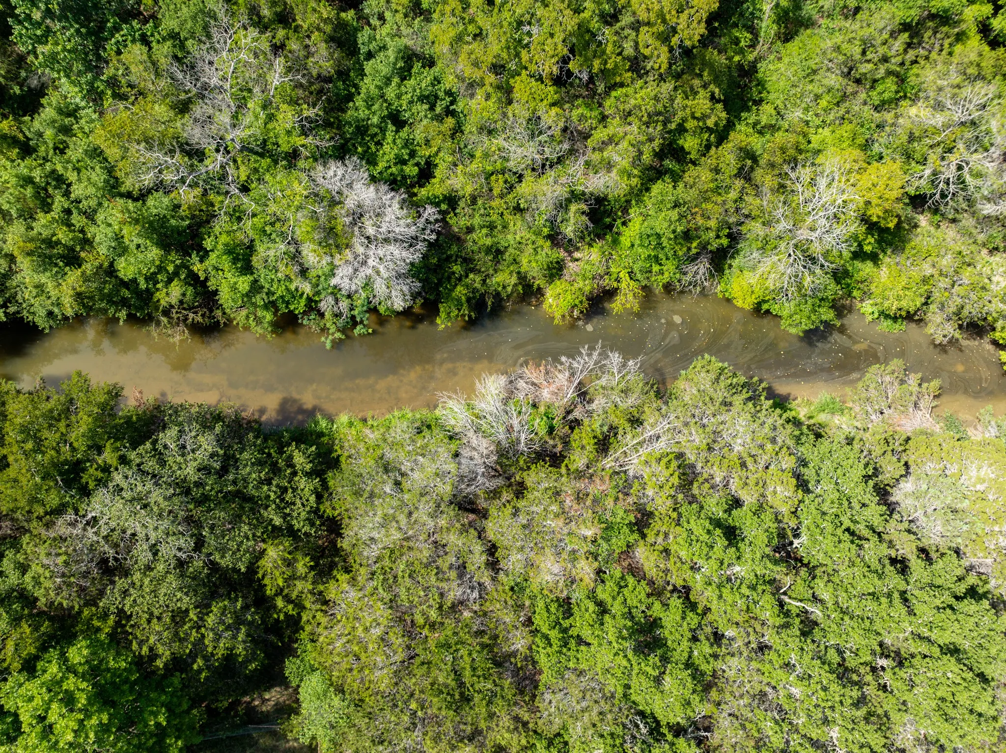 Ranch For Sale in Coryell County , TBD PR 1002, Purmela, Texas 76566, 0, 0, Garage spaces, 0 Sqft, built in 0, mls#20691532, Real Estate Agent in Purmela, Homes For Sale in Coryell county, Homes For Sale in Purmela, Realtor in Purmela Texas, Real Estate Brokerage Independent Realty Texas, Luminita Cordes Realtor
