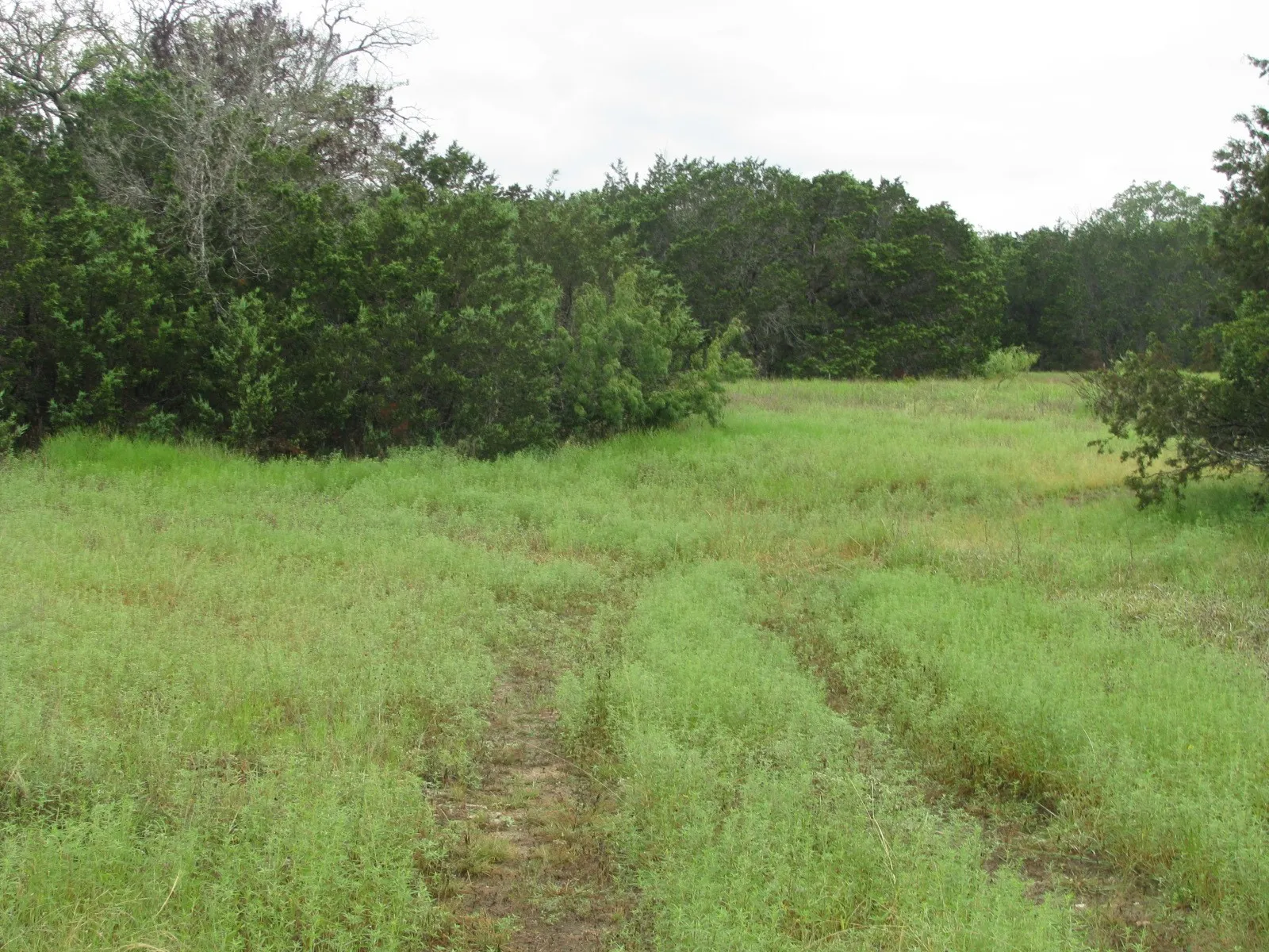 Ranch For Sale in Coryell County , TBD PR 1002, Purmela, Texas 76566, 0, 0, Garage spaces, 0 Sqft, built in 0, mls#20691532, Real Estate Agent in Purmela, Homes For Sale in Coryell county, Homes For Sale in Purmela, Realtor in Purmela Texas, Real Estate Brokerage Independent Realty Texas, Luminita Cordes Realtor