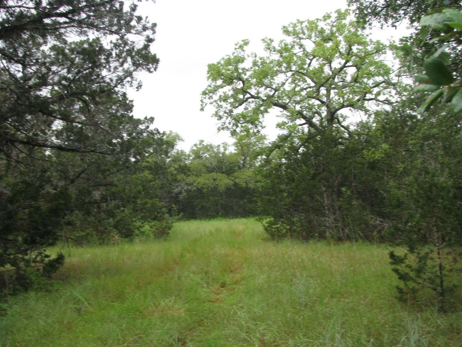 Ranch For Sale in Coryell County , TBD PR 1002, Purmela, Texas 76566, 0, 0, Garage spaces, 0 Sqft, built in 0, mls#20691532, Real Estate Agent in Purmela, Homes For Sale in Coryell county, Homes For Sale in Purmela, Realtor in Purmela Texas, Real Estate Brokerage Independent Realty Texas, Luminita Cordes Realtor