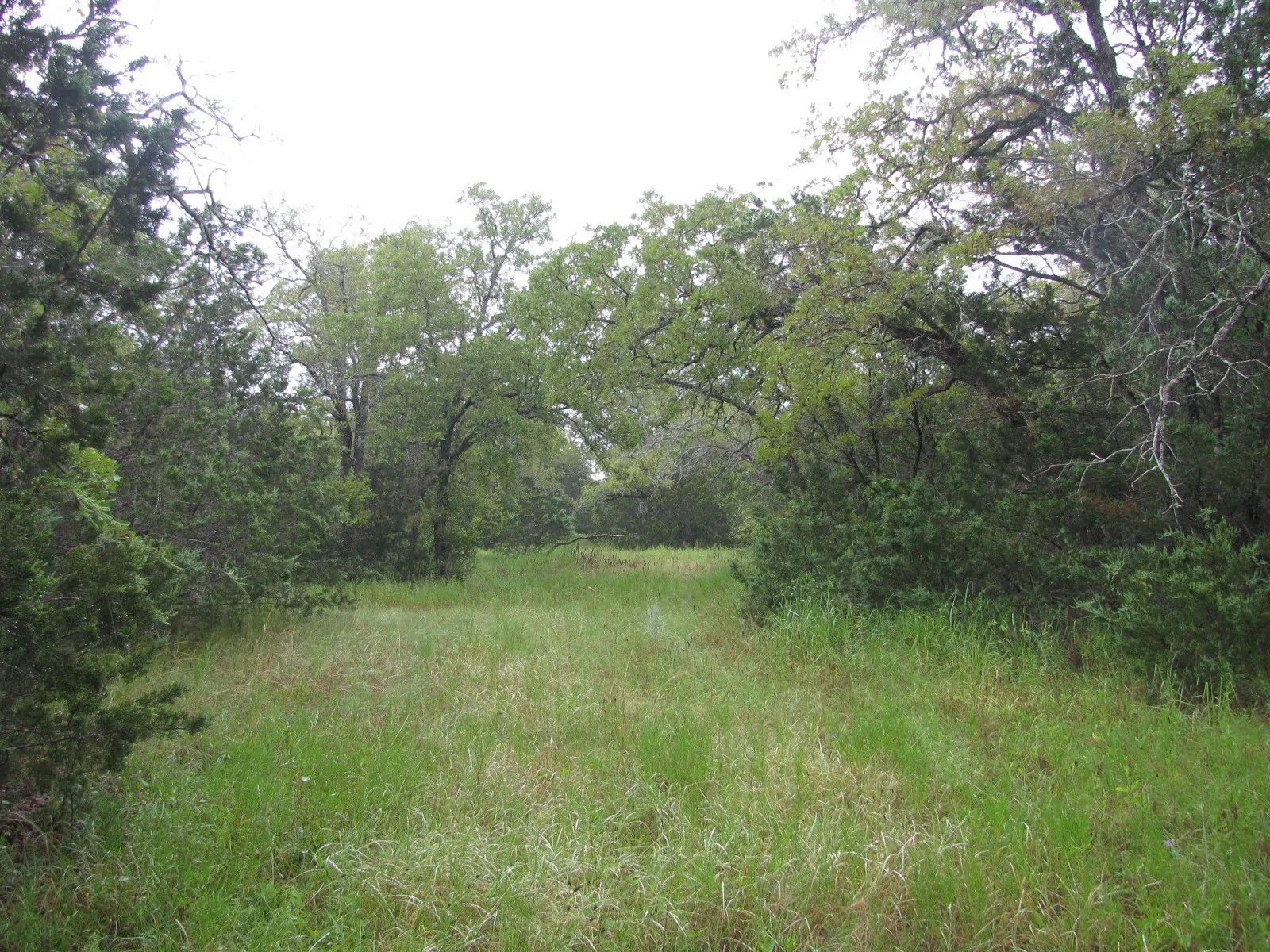Ranch For Sale in Coryell County , TBD PR 1002, Purmela, Texas 76566, 0, 0, Garage spaces, 0 Sqft, built in 0, mls#20691532, Real Estate Agent in Purmela, Homes For Sale in Coryell county, Homes For Sale in Purmela, Realtor in Purmela Texas, Real Estate Brokerage Independent Realty Texas, Luminita Cordes Realtor