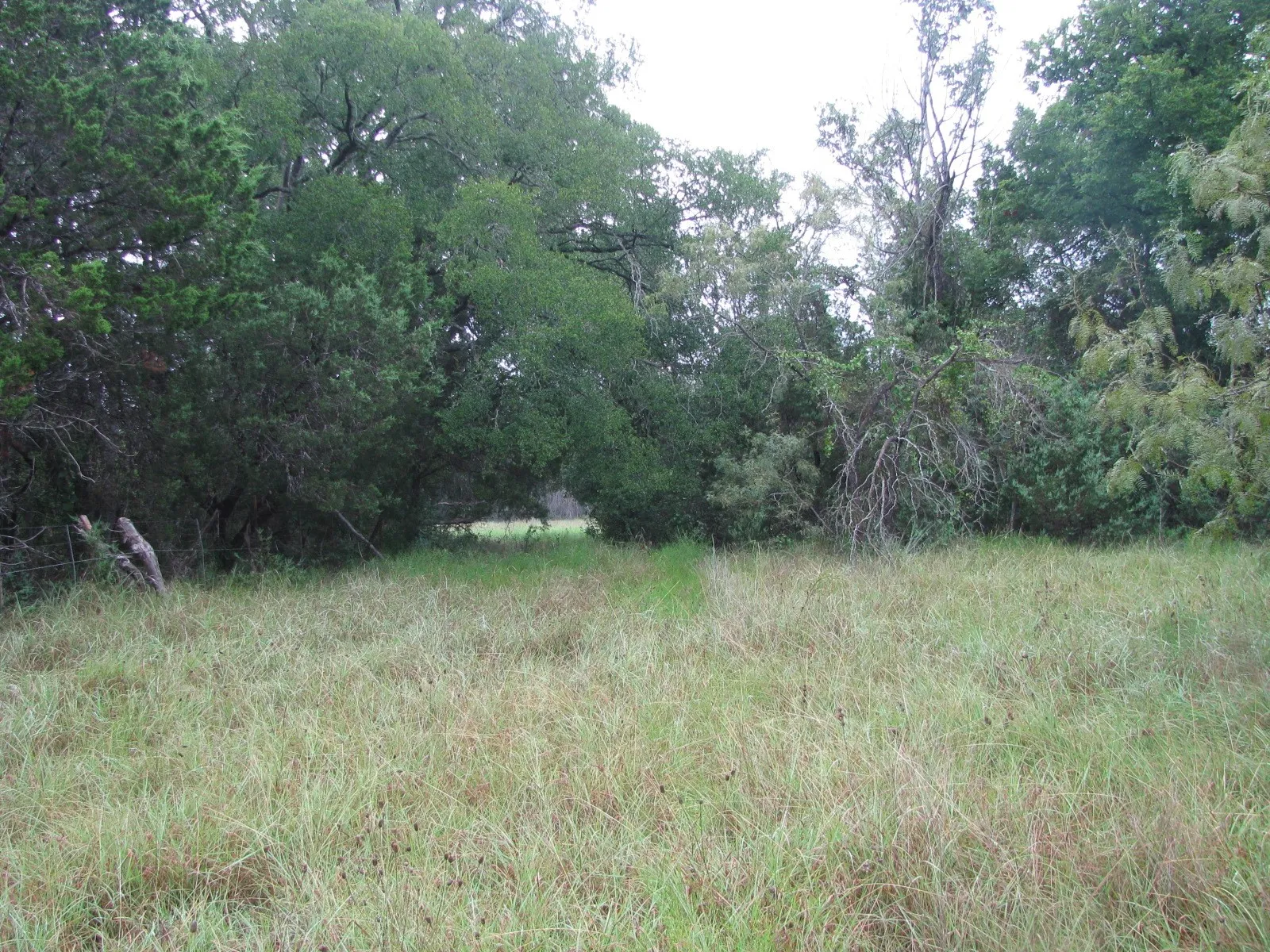 Ranch For Sale in Coryell County , TBD PR 1002, Purmela, Texas 76566, 0, 0, Garage spaces, 0 Sqft, built in 0, mls#20691532, Real Estate Agent in Purmela, Homes For Sale in Coryell county, Homes For Sale in Purmela, Realtor in Purmela Texas, Real Estate Brokerage Independent Realty Texas, Luminita Cordes Realtor