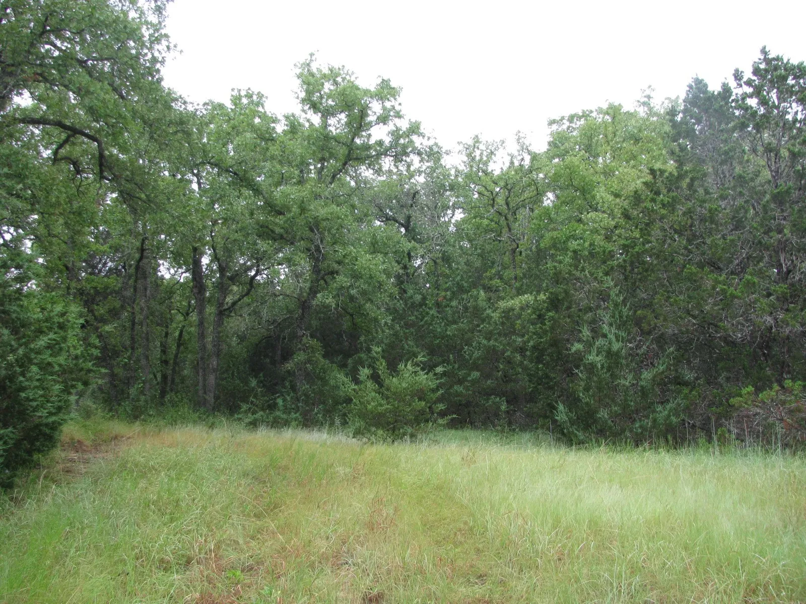 Ranch For Sale in Coryell County , TBD PR 1002, Purmela, Texas 76566, 0, 0, Garage spaces, 0 Sqft, built in 0, mls#20691532, Real Estate Agent in Purmela, Homes For Sale in Coryell county, Homes For Sale in Purmela, Realtor in Purmela Texas, Real Estate Brokerage Independent Realty Texas, Luminita Cordes Realtor