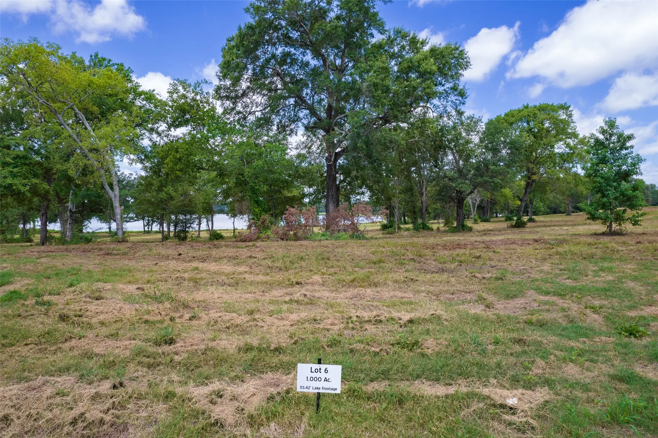 View of Lot 6