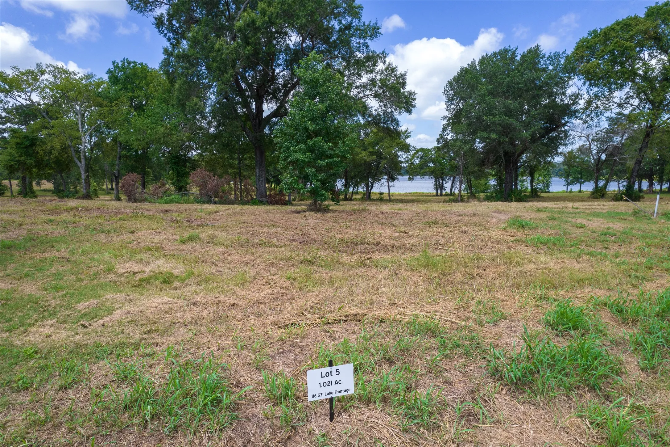 View of lot
