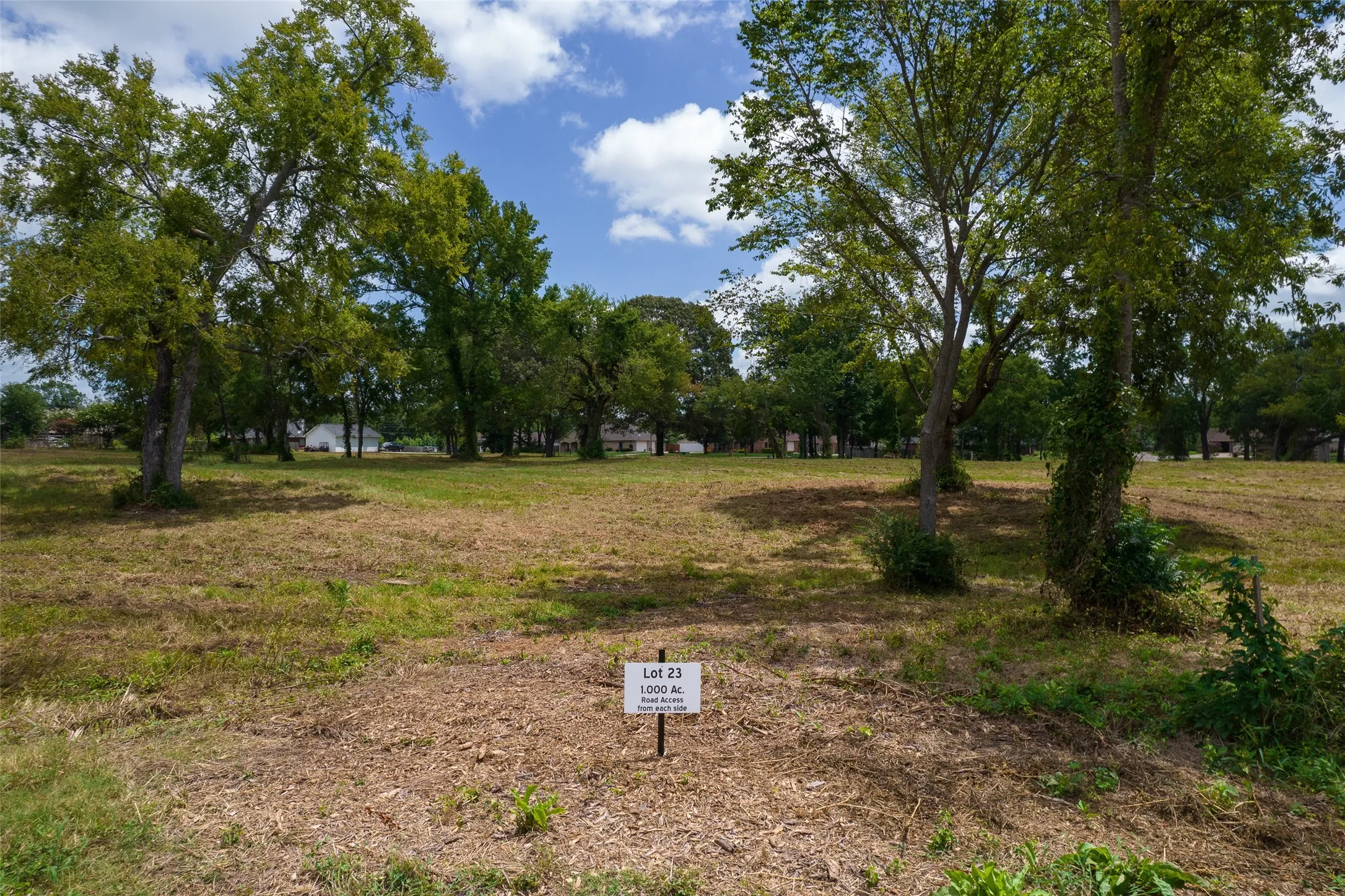 Lot 23