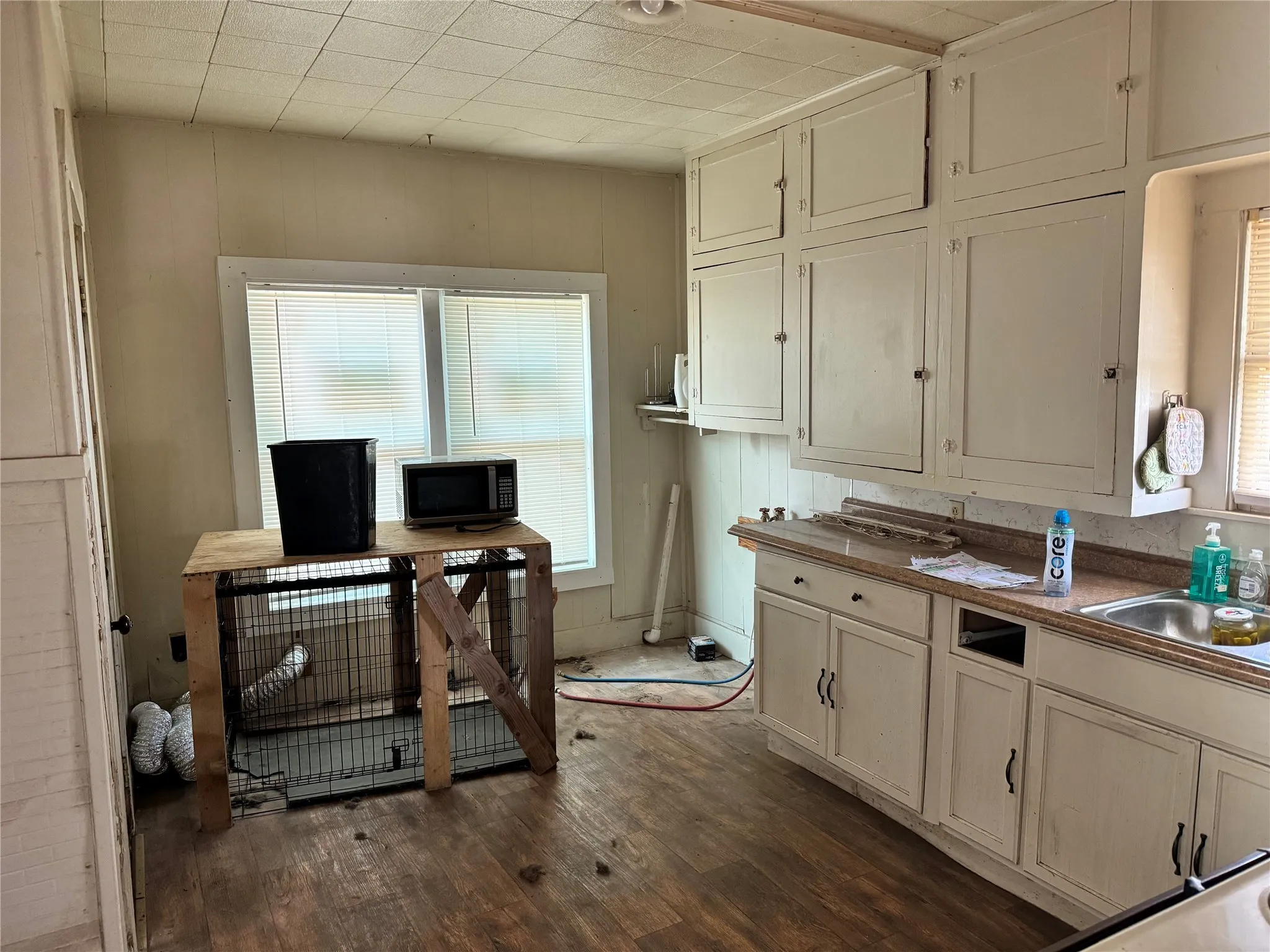Kitchen featuring white cabinets, a healthy amount of sunlight, dark hardwood / wood-style flooring, and sink