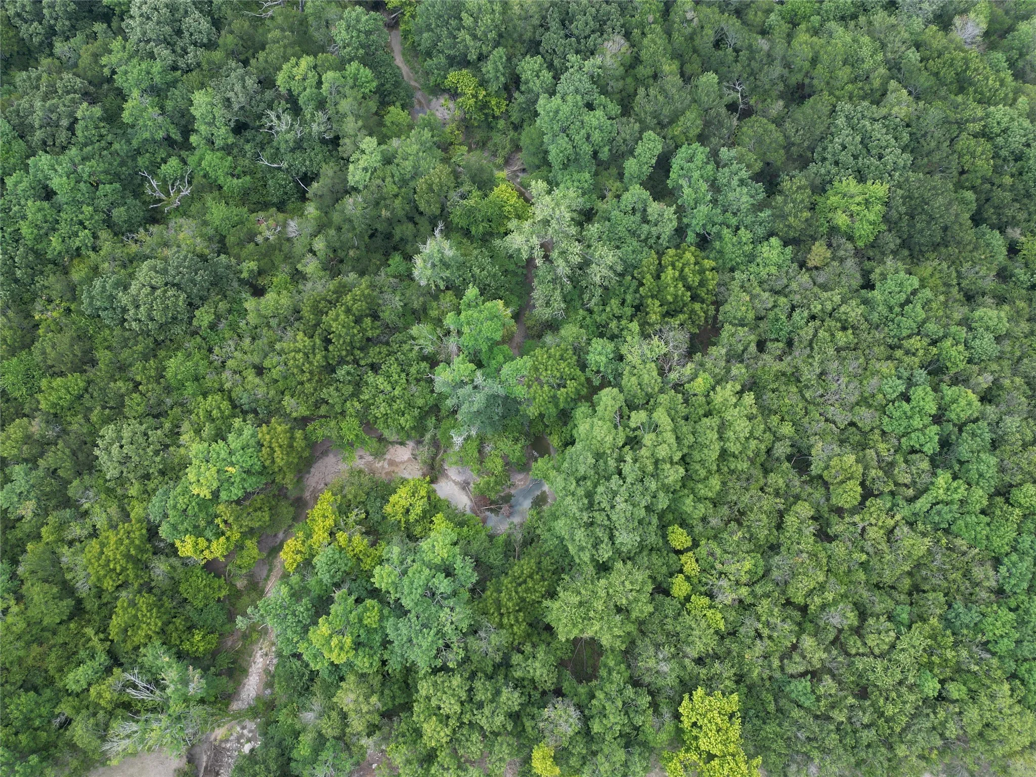 Drone / aerial view of creek through property