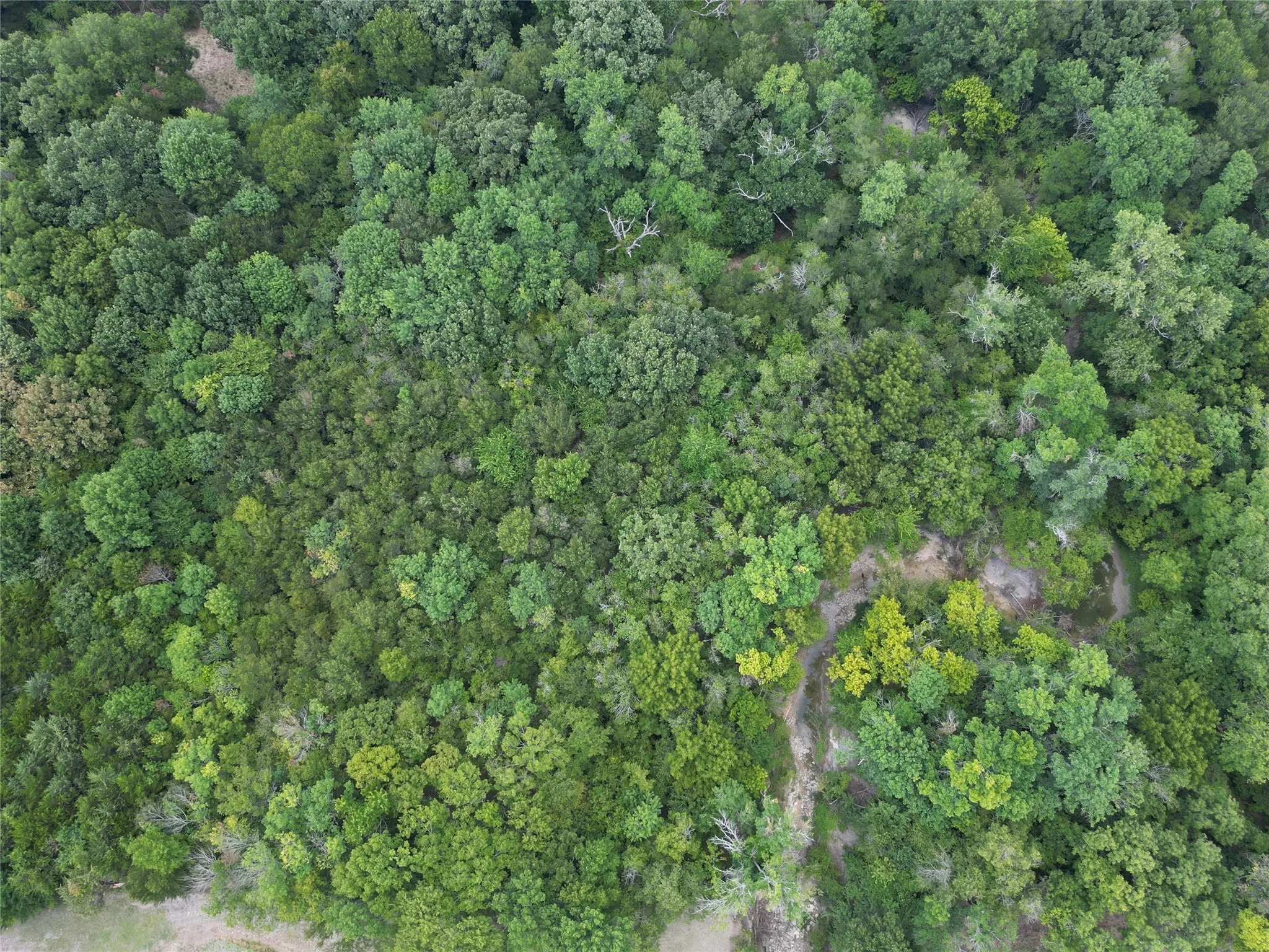 Birds eye view of property with creek on right