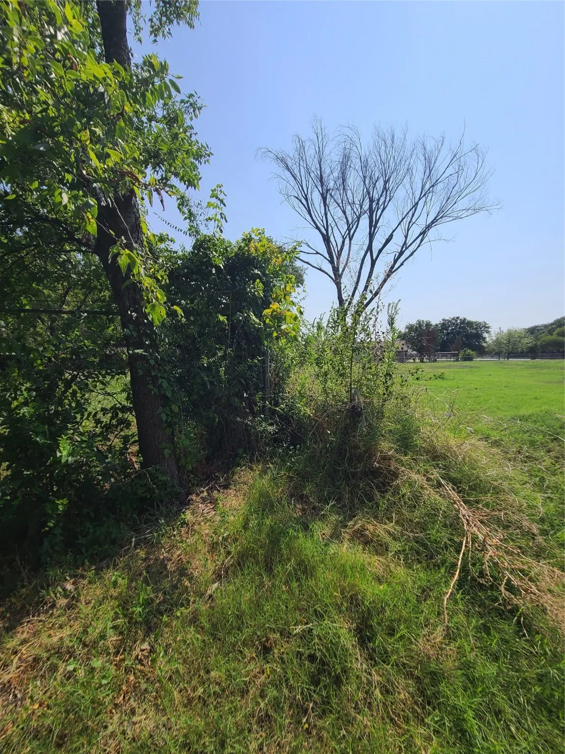 Unimproved Land For Sale in Dallas County , 3024 Claibourne Boulevard, Dallas, Texas 75212, 0, 0, Garage spaces, 0 Sqft, built in 0, Price $44,900, mls#20696920, Real Estate Agent in Dallas, Homes For Sale in Dallas county, Homes For Sale in Dallas, Realtor in Dallas Texas, Real Estate Brokerage Independent Realty Texas, Luminita Cordes Realtor