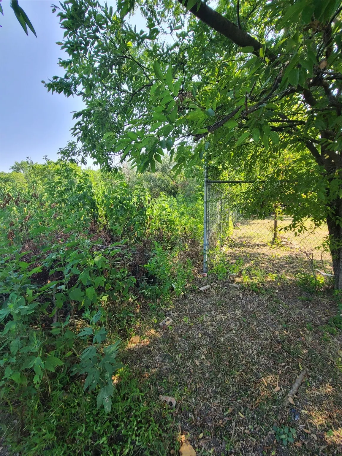 View of landscape