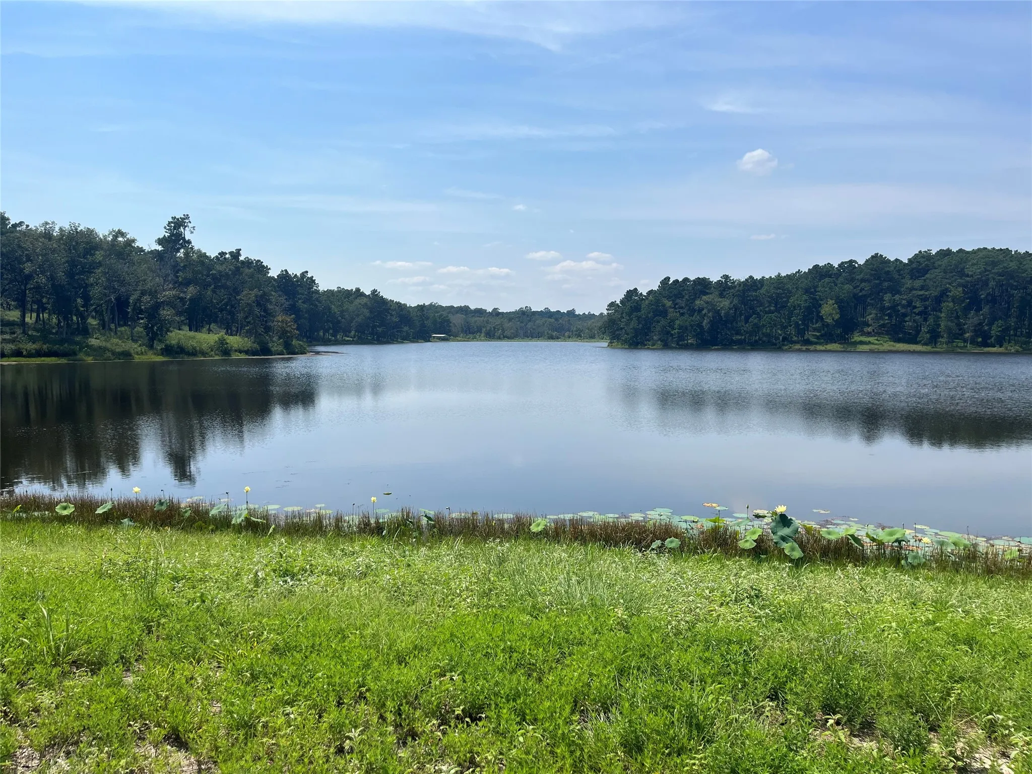 Unimproved Land For Sale in Leon County , 94 PR 1315 10.01 Acre TR 94, Centerville, Texas 75833, 0, 0, Garage spaces, 0 Sqft, built in 0, mls#20700293, Real Estate Agent in Centerville, Homes For Sale in Leon county, Homes For Sale in Centerville, Realtor in Centerville Texas, Real Estate Brokerage Independent Realty Texas, Luminita Cordes Realtor