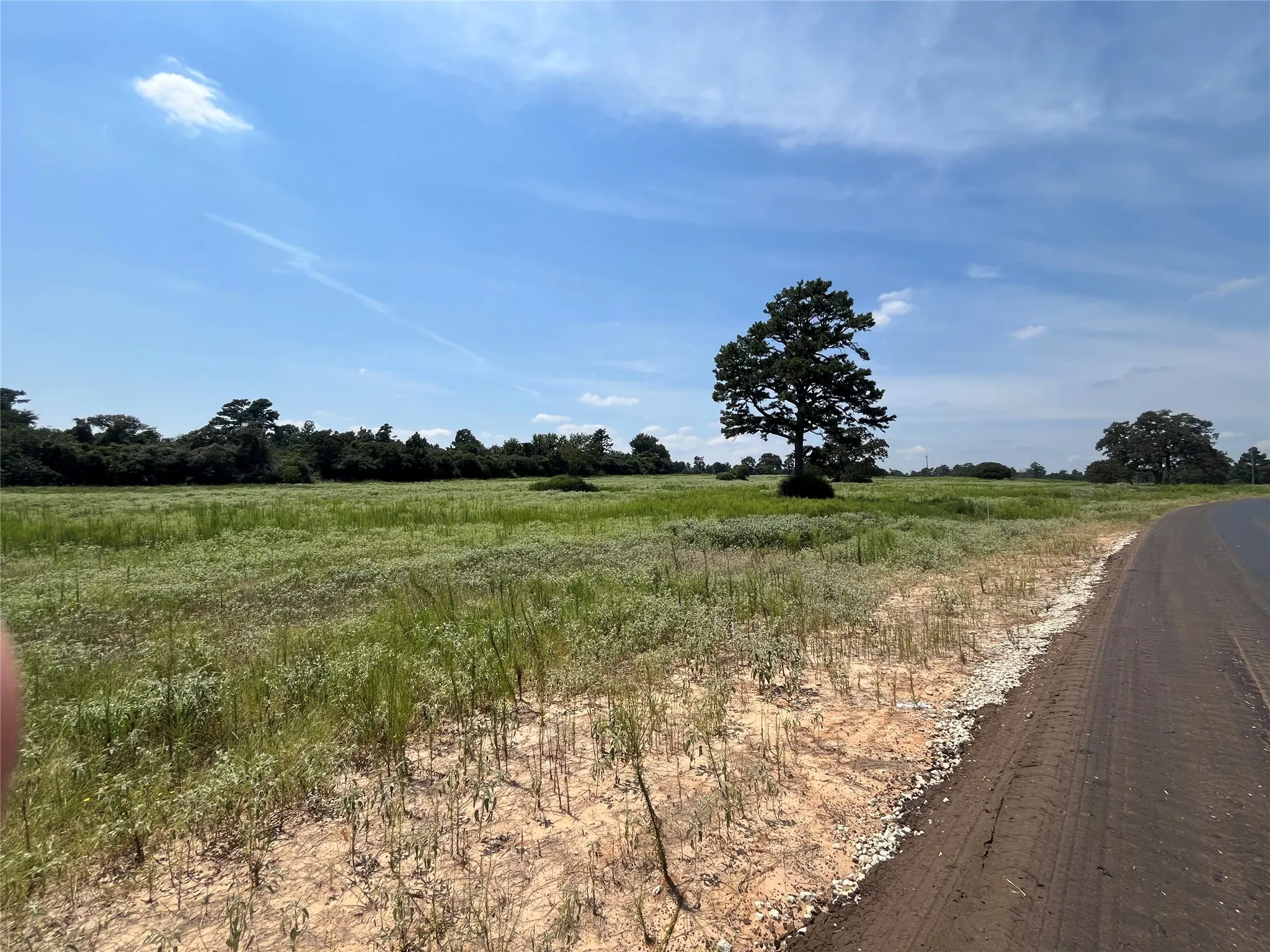 Unimproved Land For Sale in Leon County , 94 PR 1315 10.01 Acre TR 94, Centerville, Texas 75833, 0, 0, Garage spaces, 0 Sqft, built in 0, mls#20700293, Real Estate Agent in Centerville, Homes For Sale in Leon county, Homes For Sale in Centerville, Realtor in Centerville Texas, Real Estate Brokerage Independent Realty Texas, Luminita Cordes Realtor